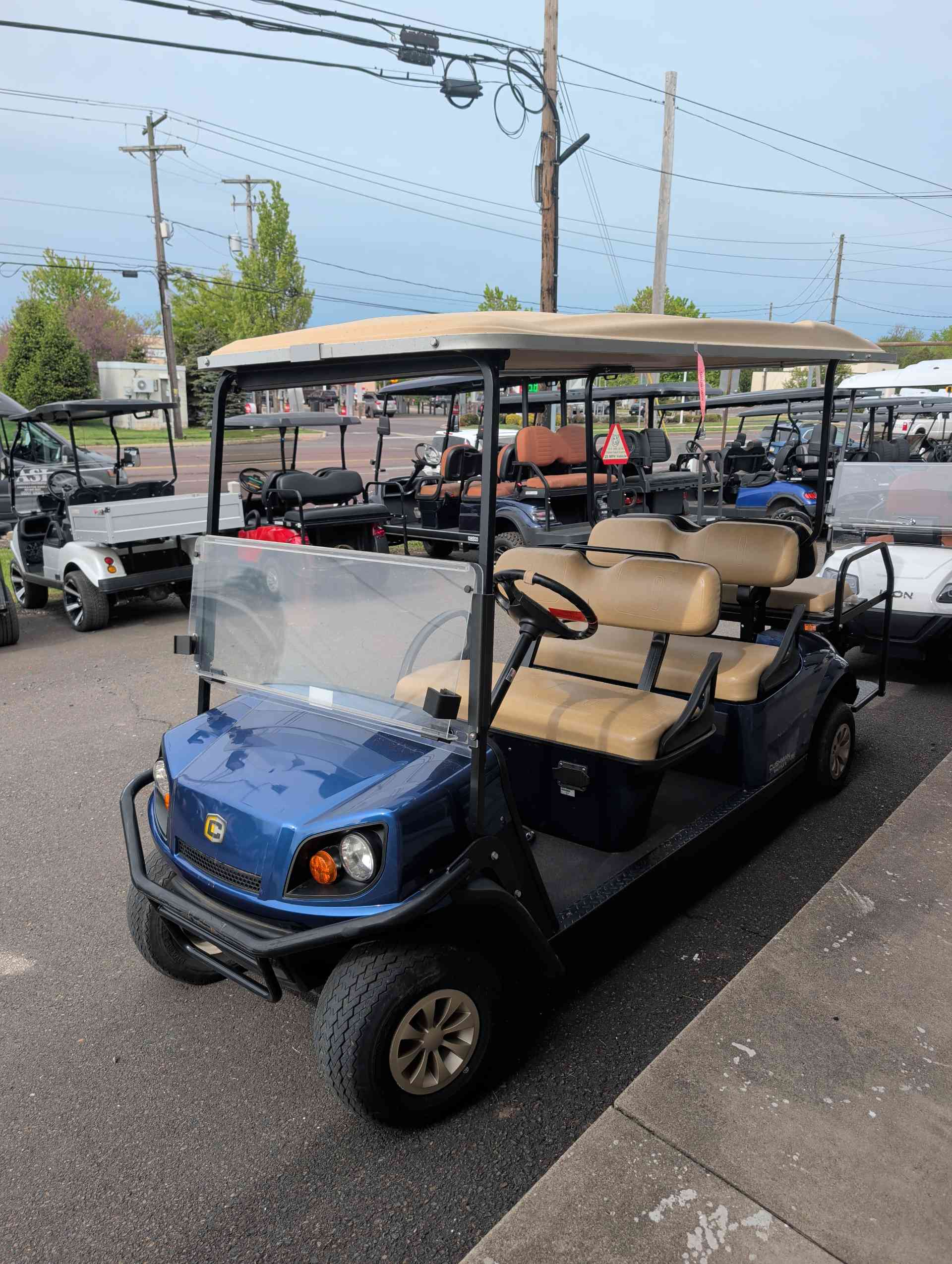 2019 Cushman Other Golf Cart in Blue