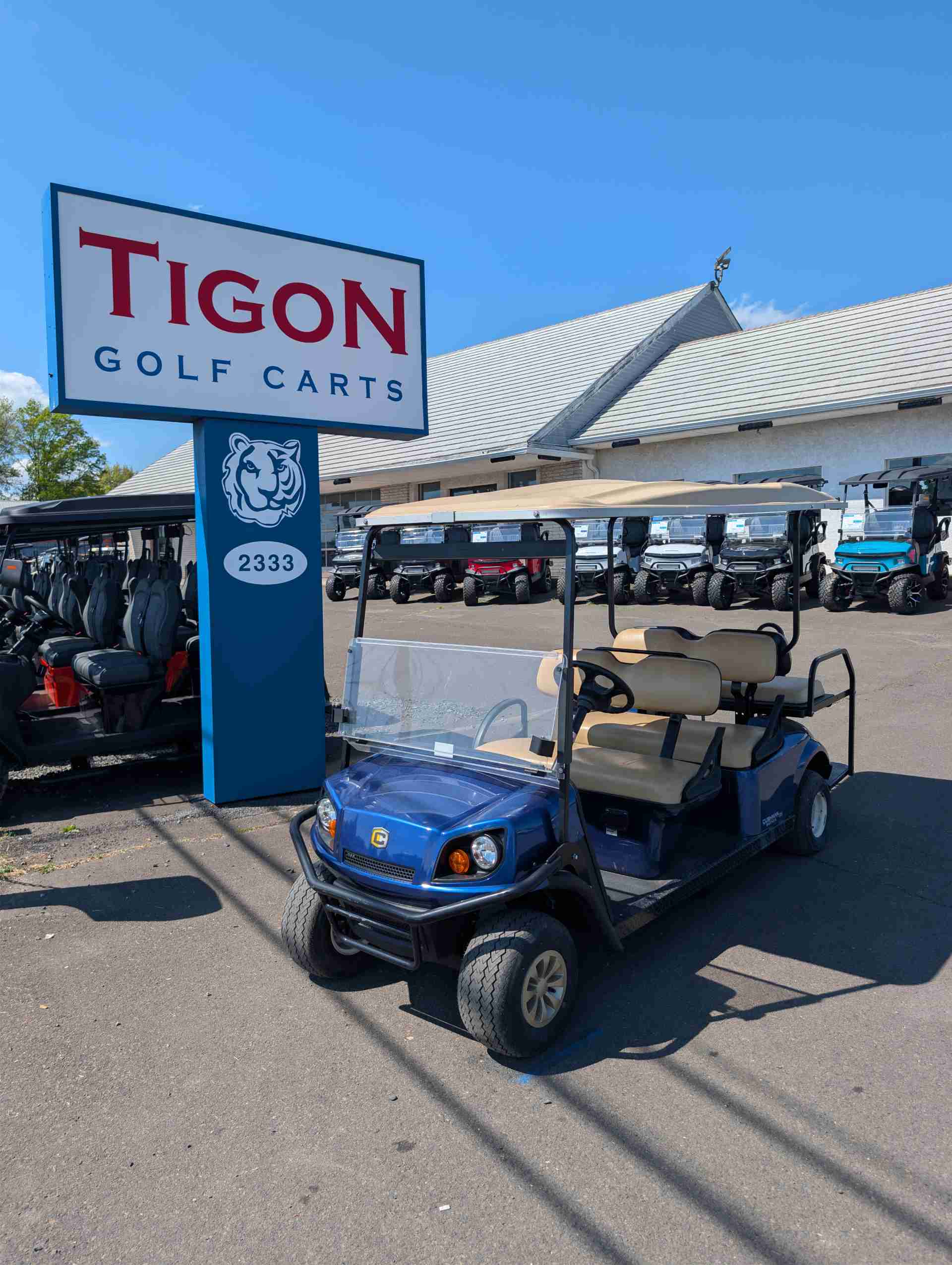 2019 Cushman Other Golf Cart in Blue