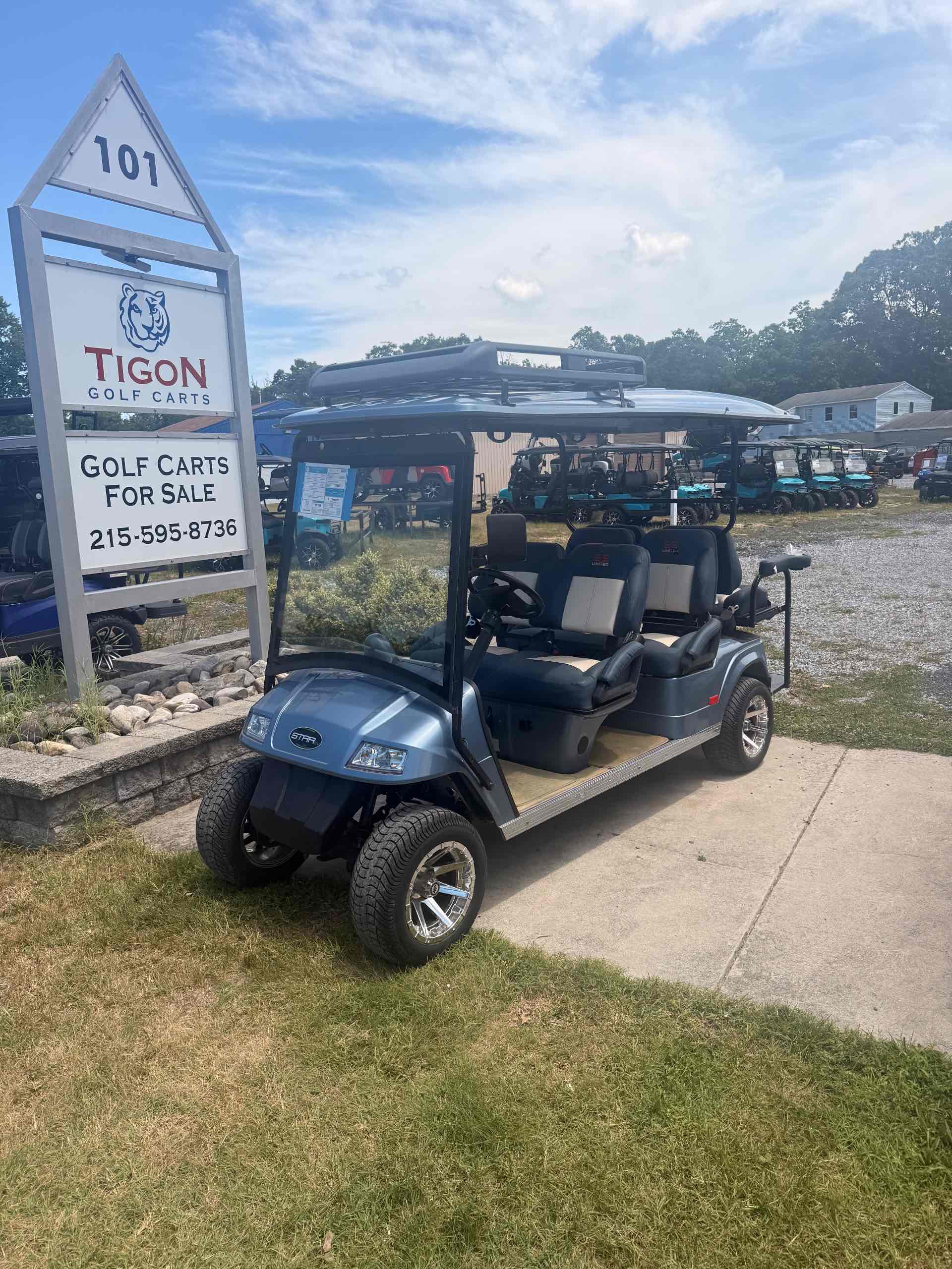 2019 Star EV Other Golf Cart in Light Blue