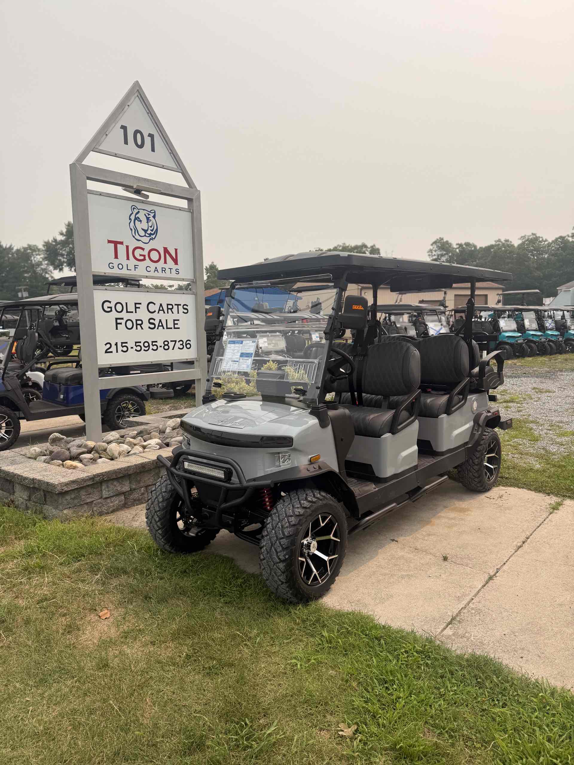 2026 Denago Rover XL6 Golf Cart in Gray