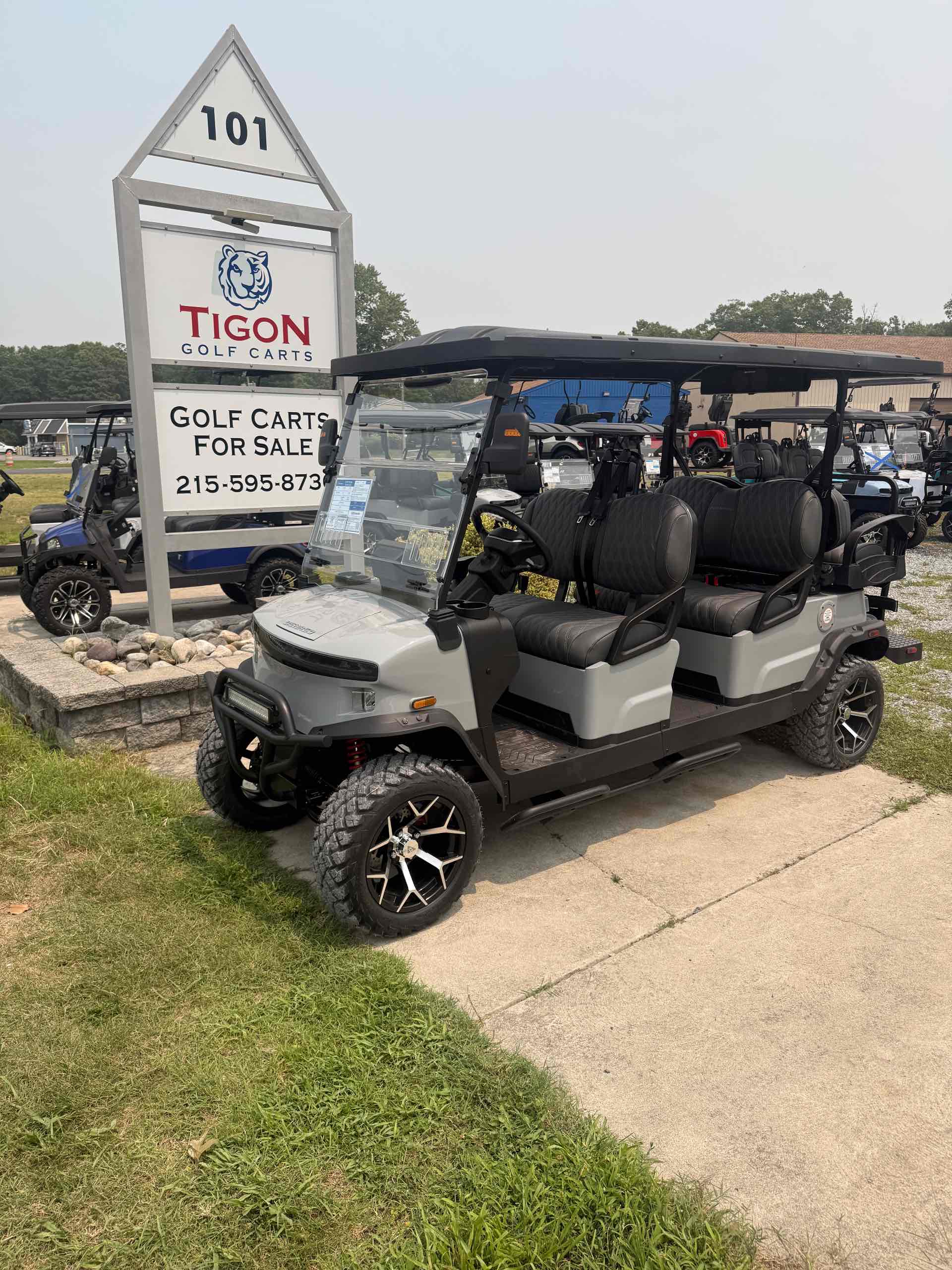 2026 Denago Rover XL6 Golf Cart in Gray