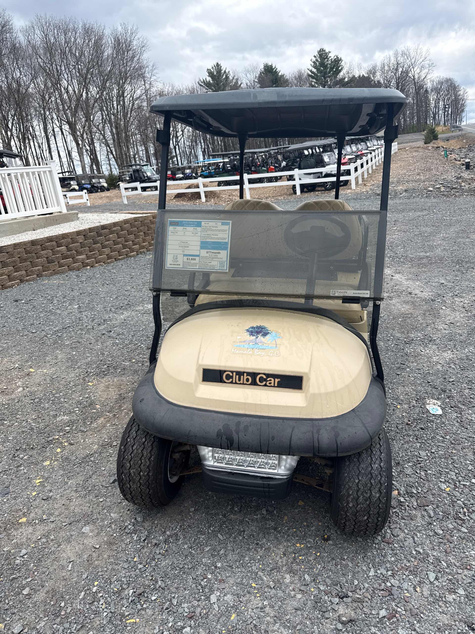 2015 Club Car Precedent Golf Cart in Beige