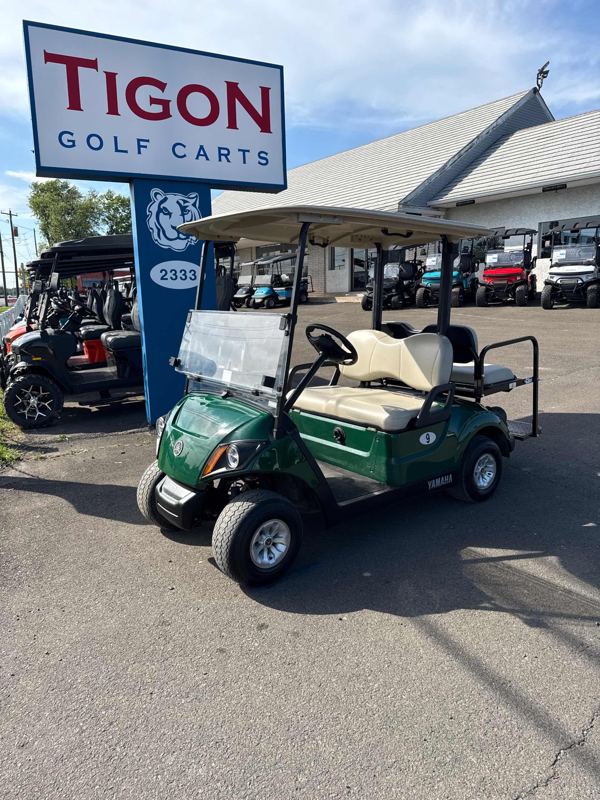 2017 Yamaha Drive 2 Golf Cart in Green