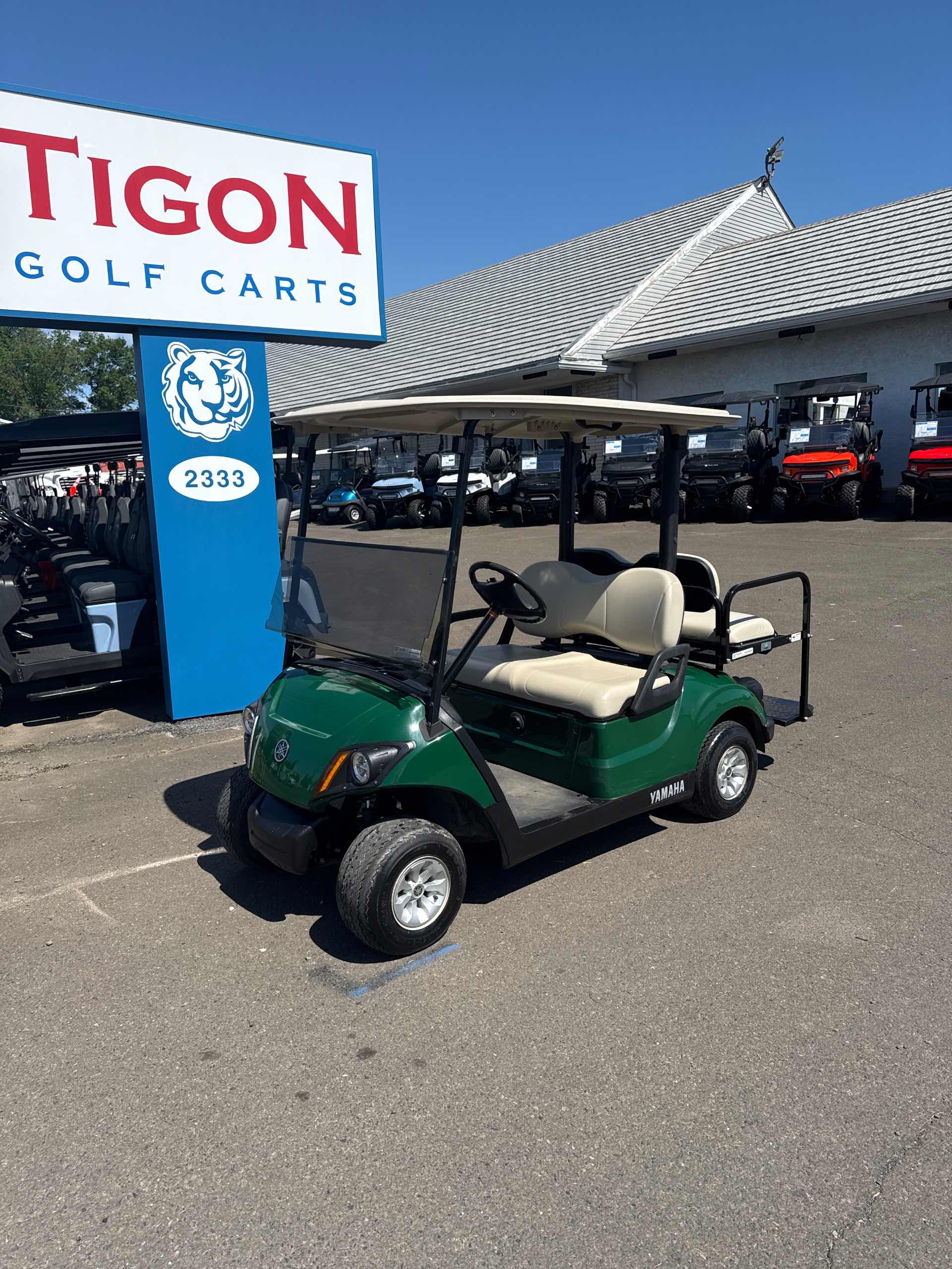 2017 Yamaha Drive 2 Golf Cart in Green