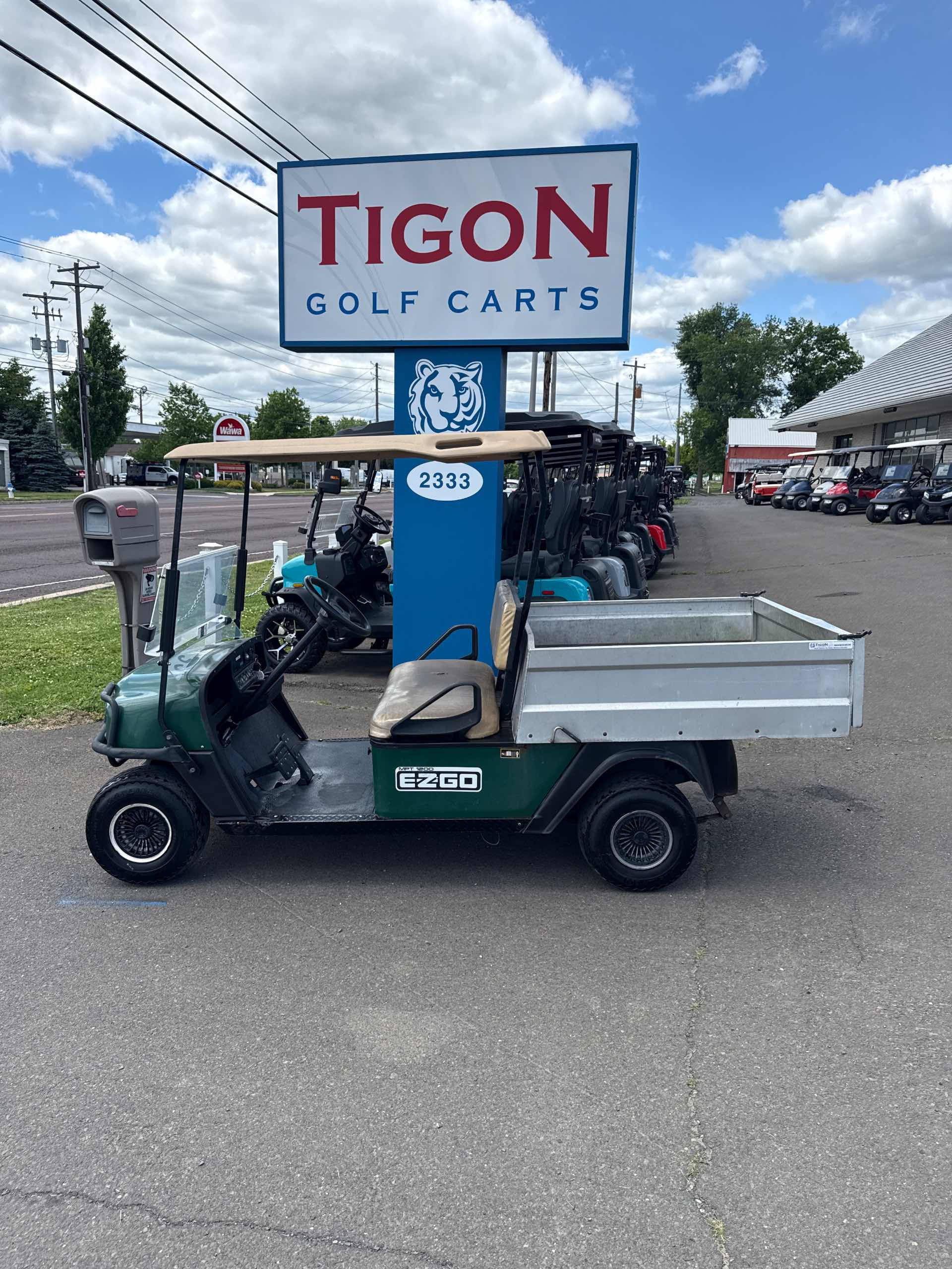 2019 EZGO Other Green image 2
