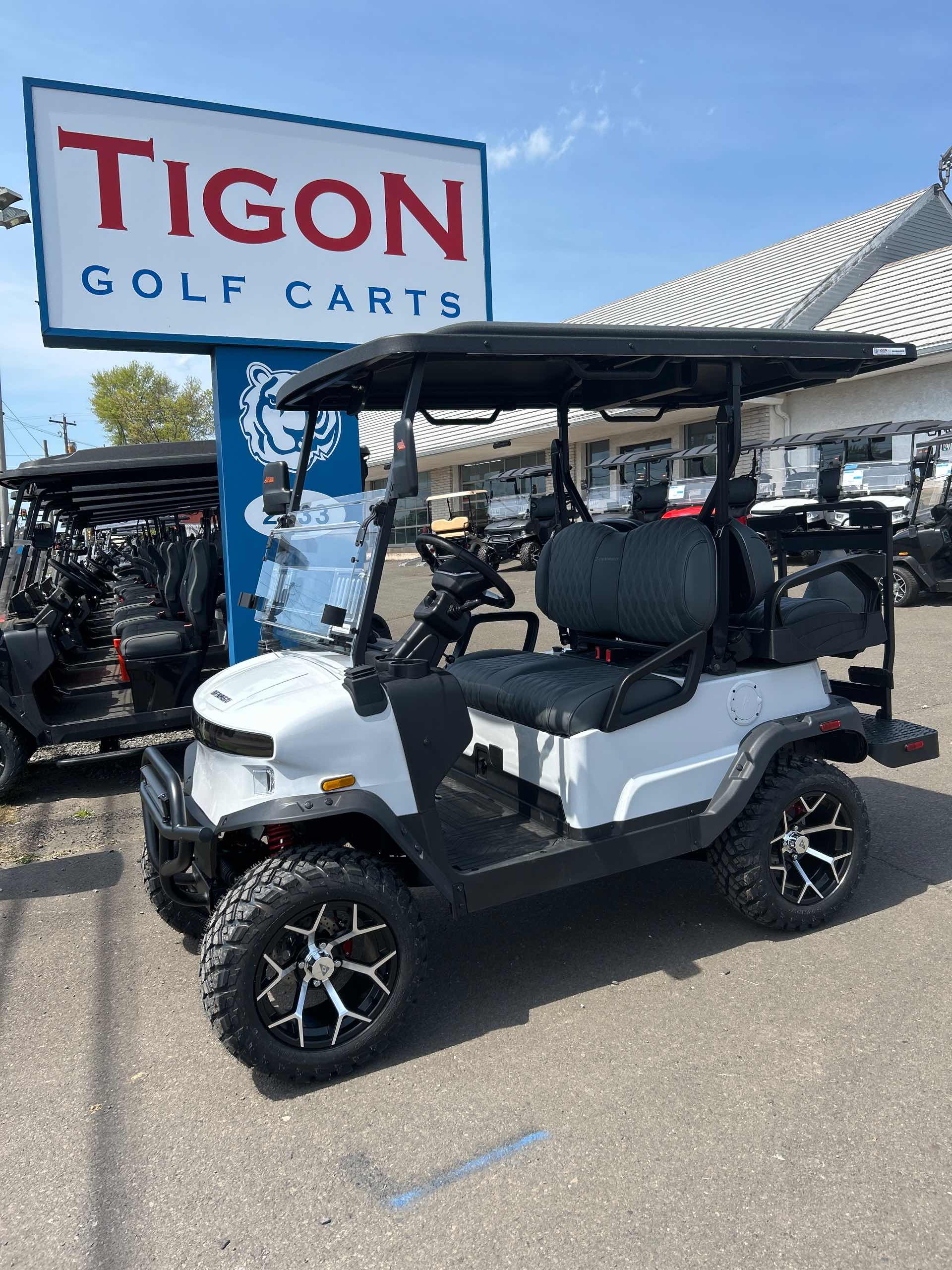 2026 Denago Nomad XL Golf Cart in Gray