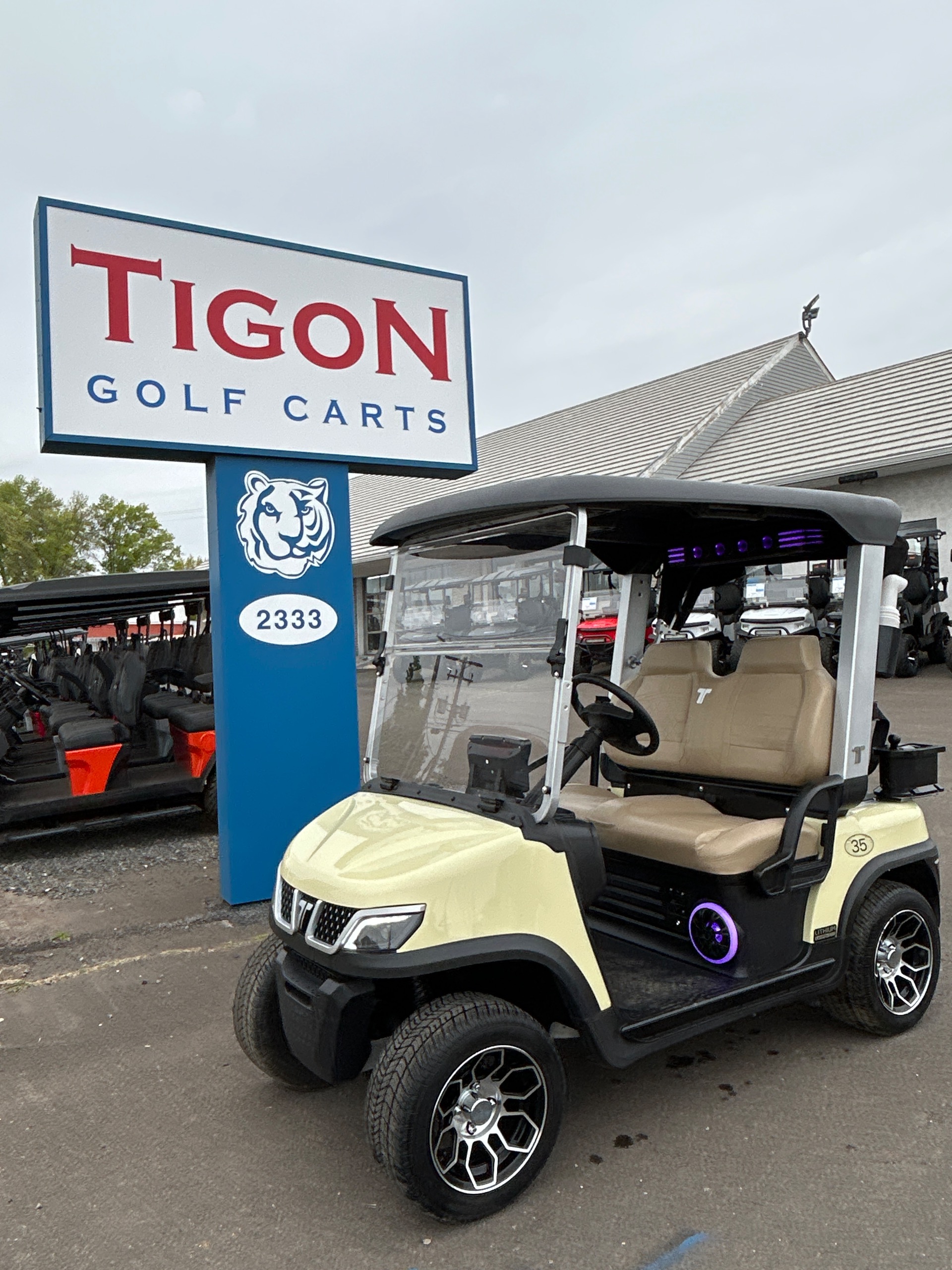 2025 Tara Spirit Plus Golf Cart in Beige