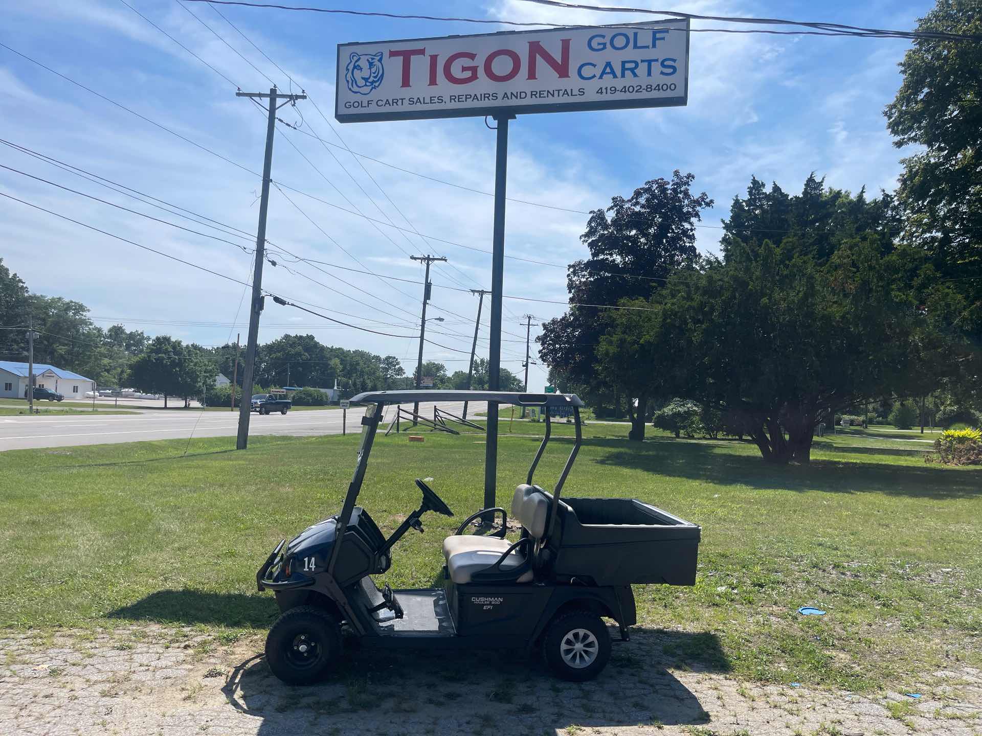 2023 Cushman Other Golf Cart in blue