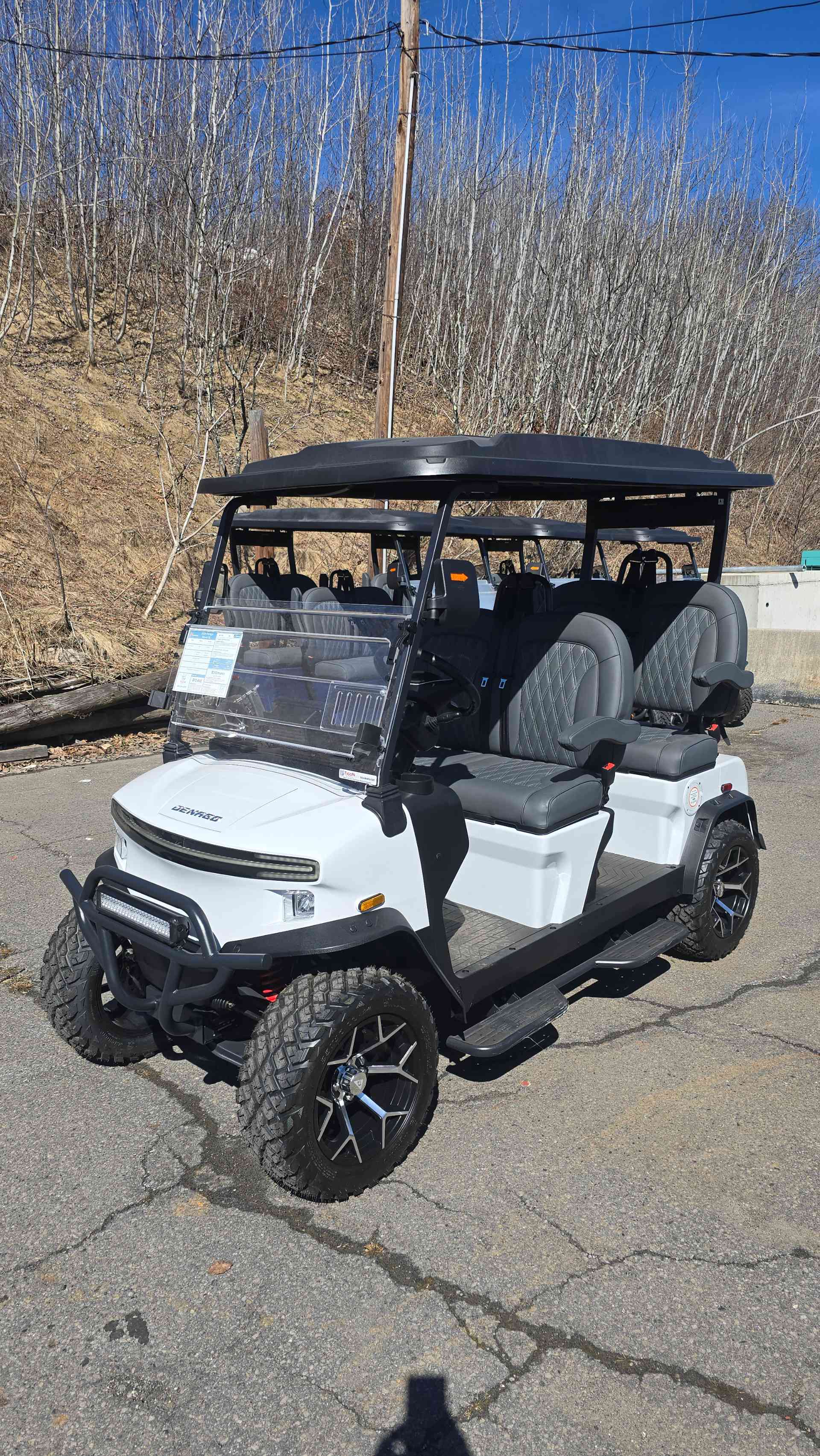 2026 Denago Rover XL Golf Cart in White