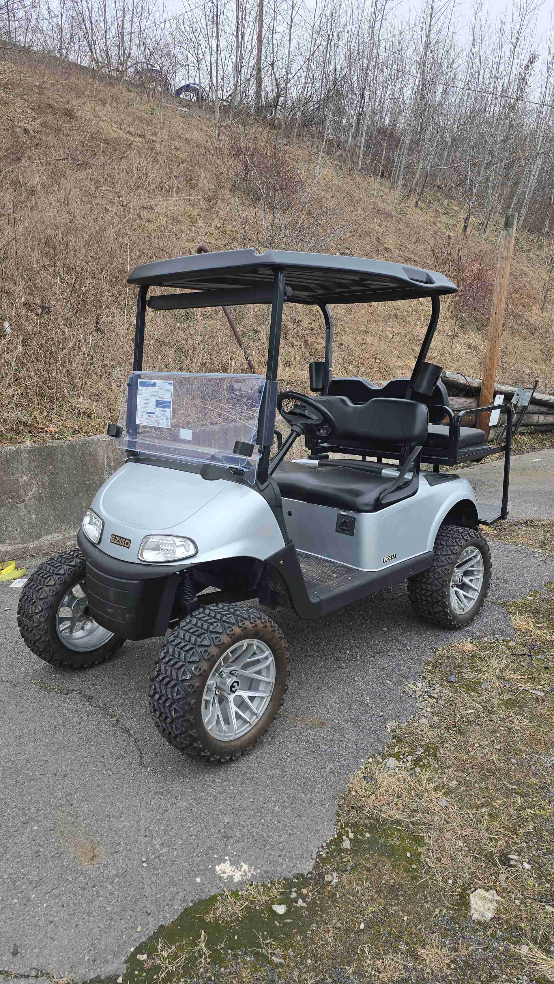 2019 EZGO RXV Golf Cart in Silver