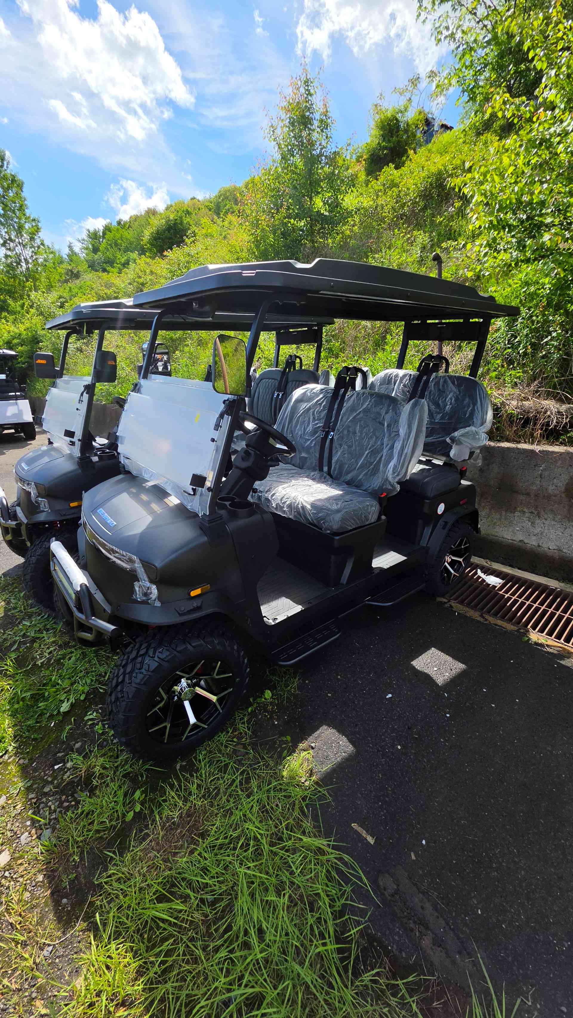 2026 Denago Rover XL Golf Cart in Matte Black