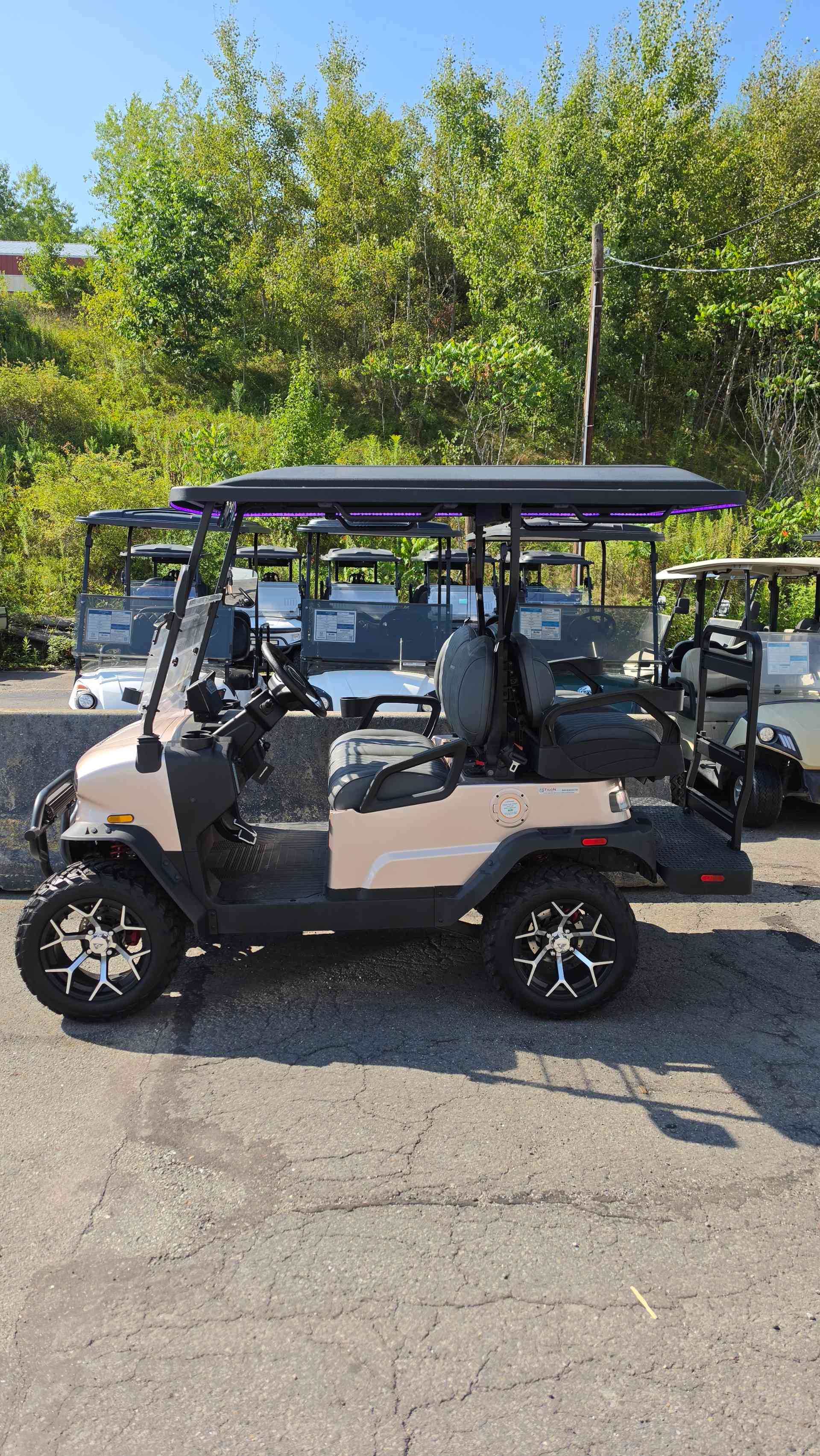 2026 Denago Nomad XL Champagne golf cart in Champagne — photo 2 of 4, Scranton, PA