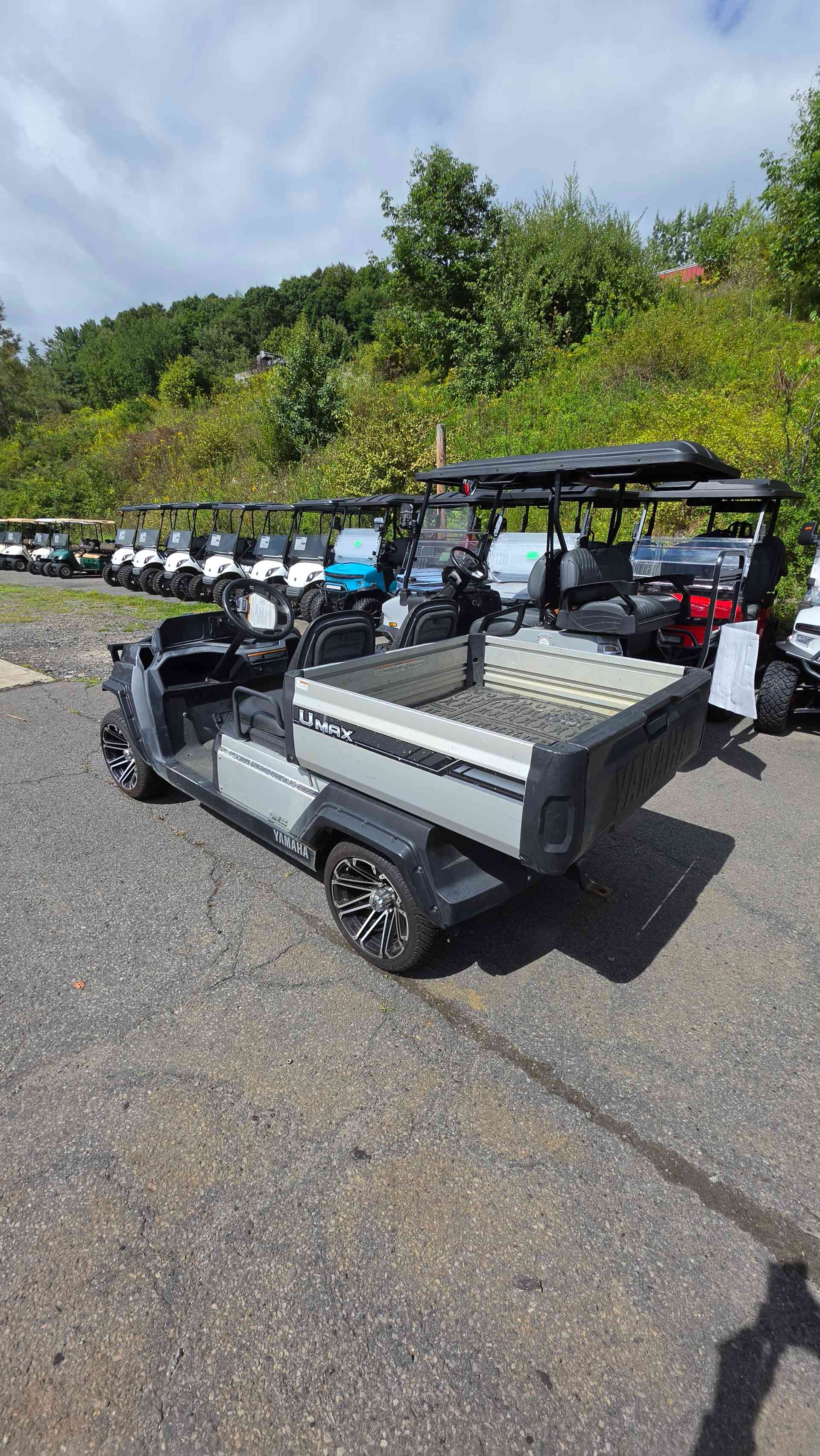 2019 Yamaha U-Maxx Gray image 3