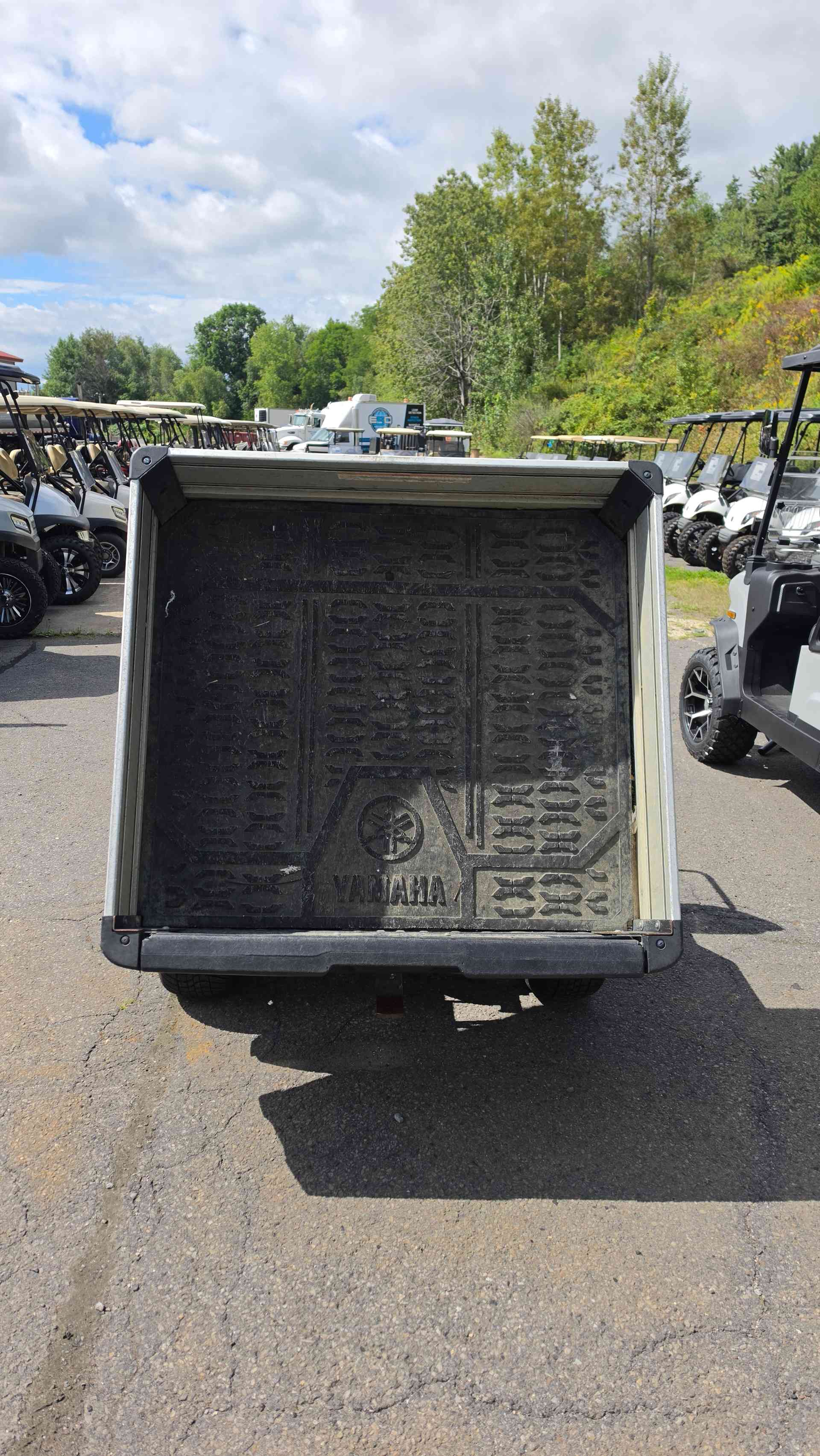 2019 Yamaha U-Maxx Gray image 4