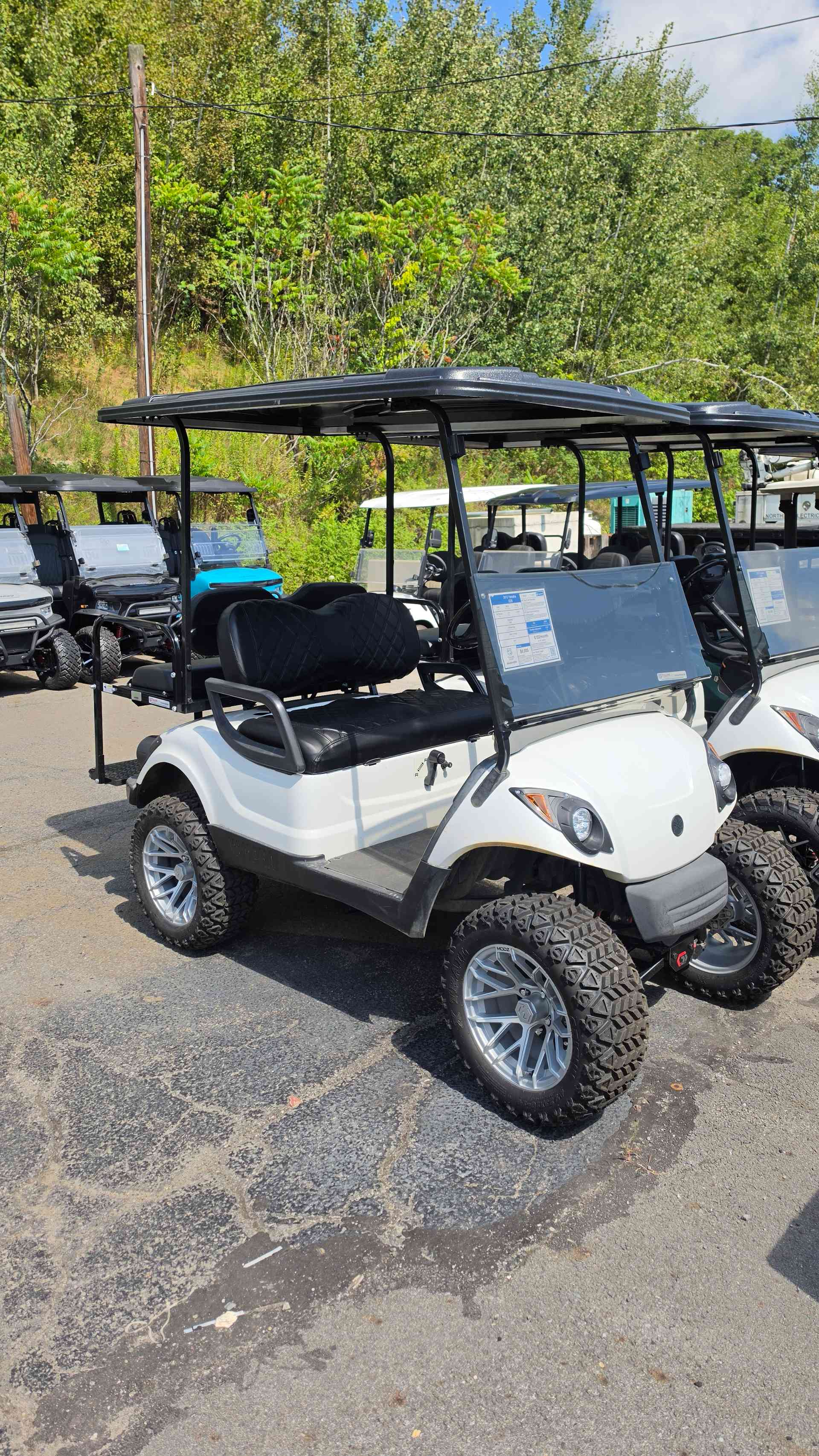 2013 Yamaha G29 White