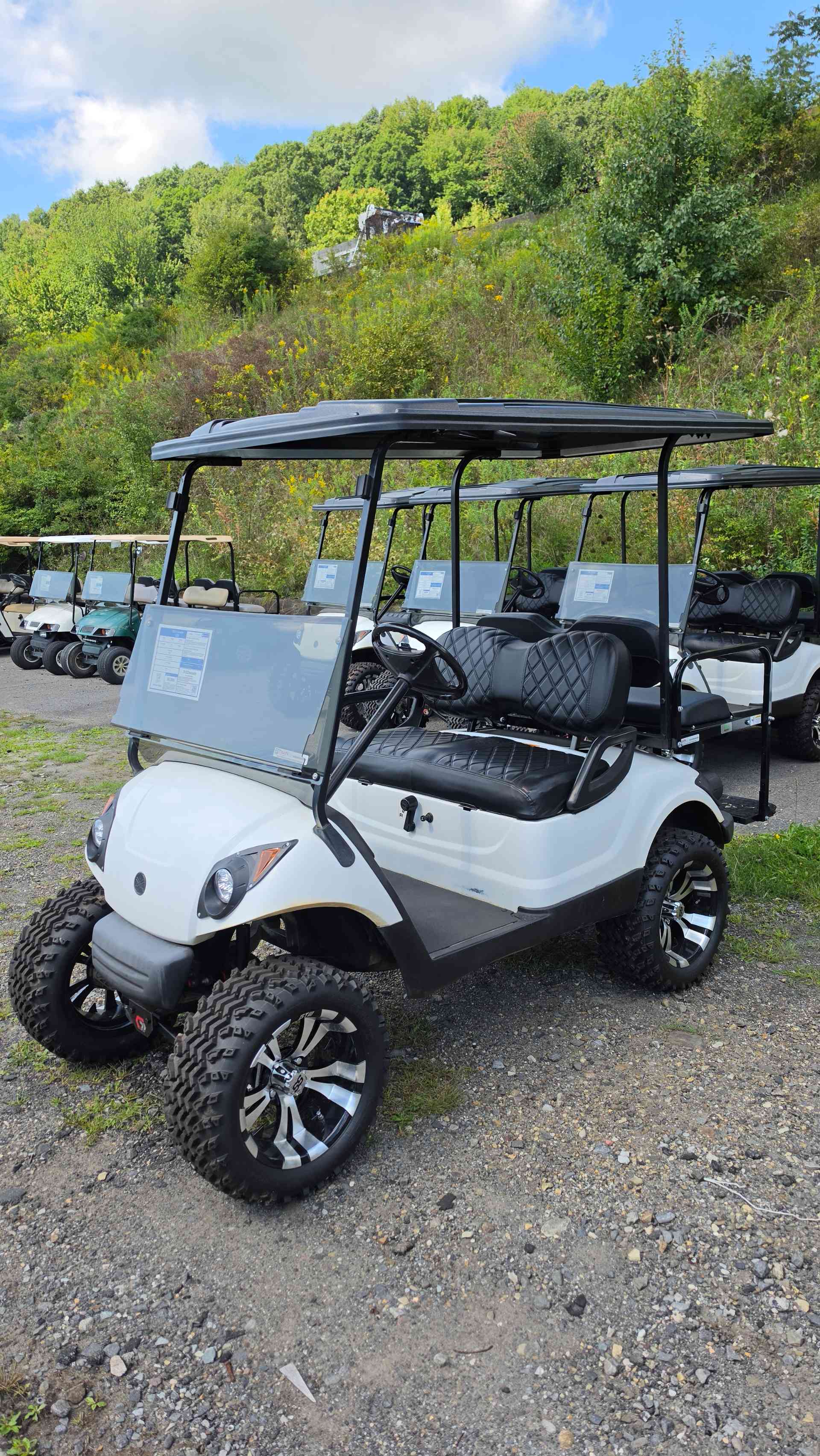 2013 Yamaha G29 White
