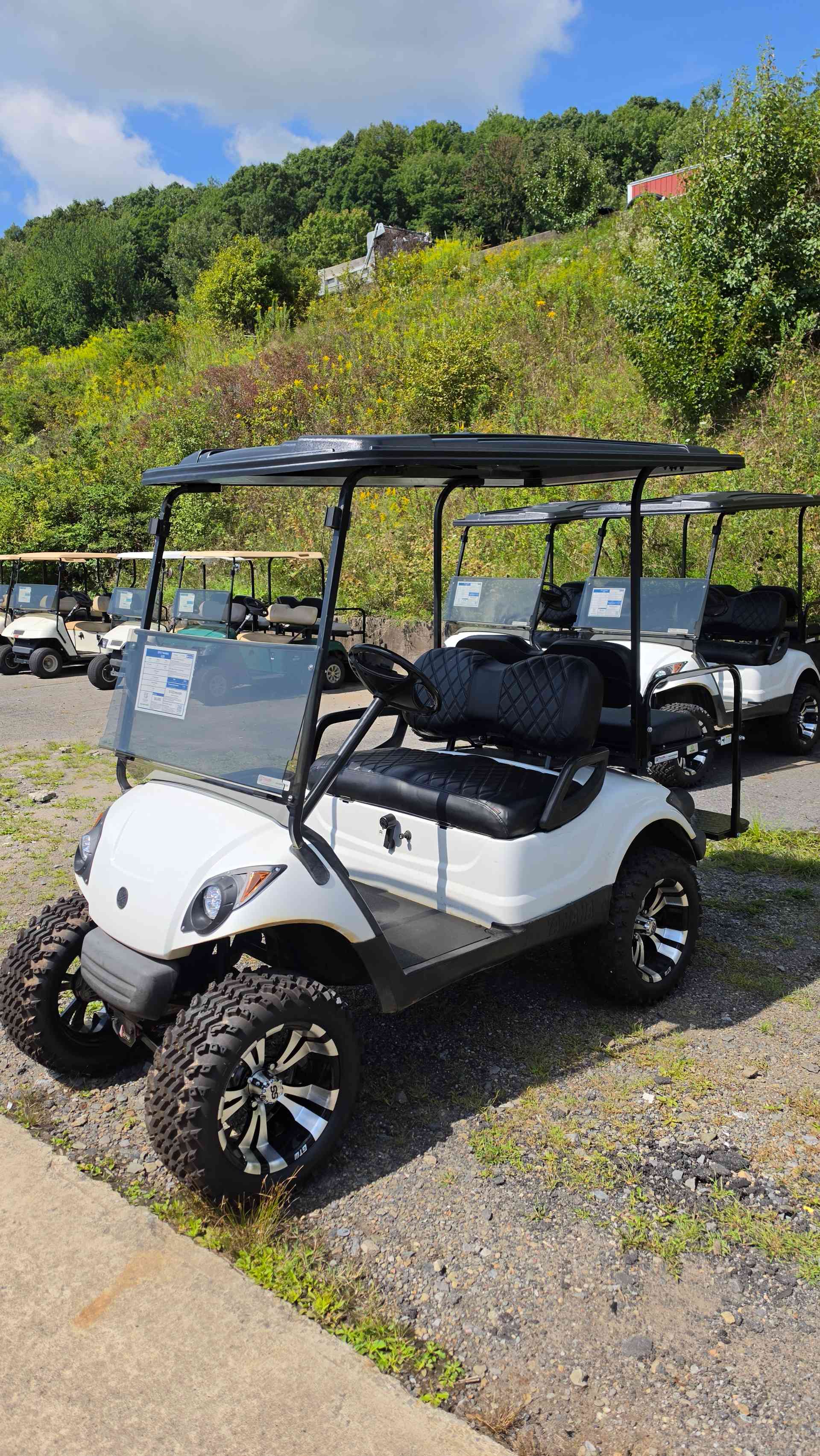 2013 Yamaha G29 White
