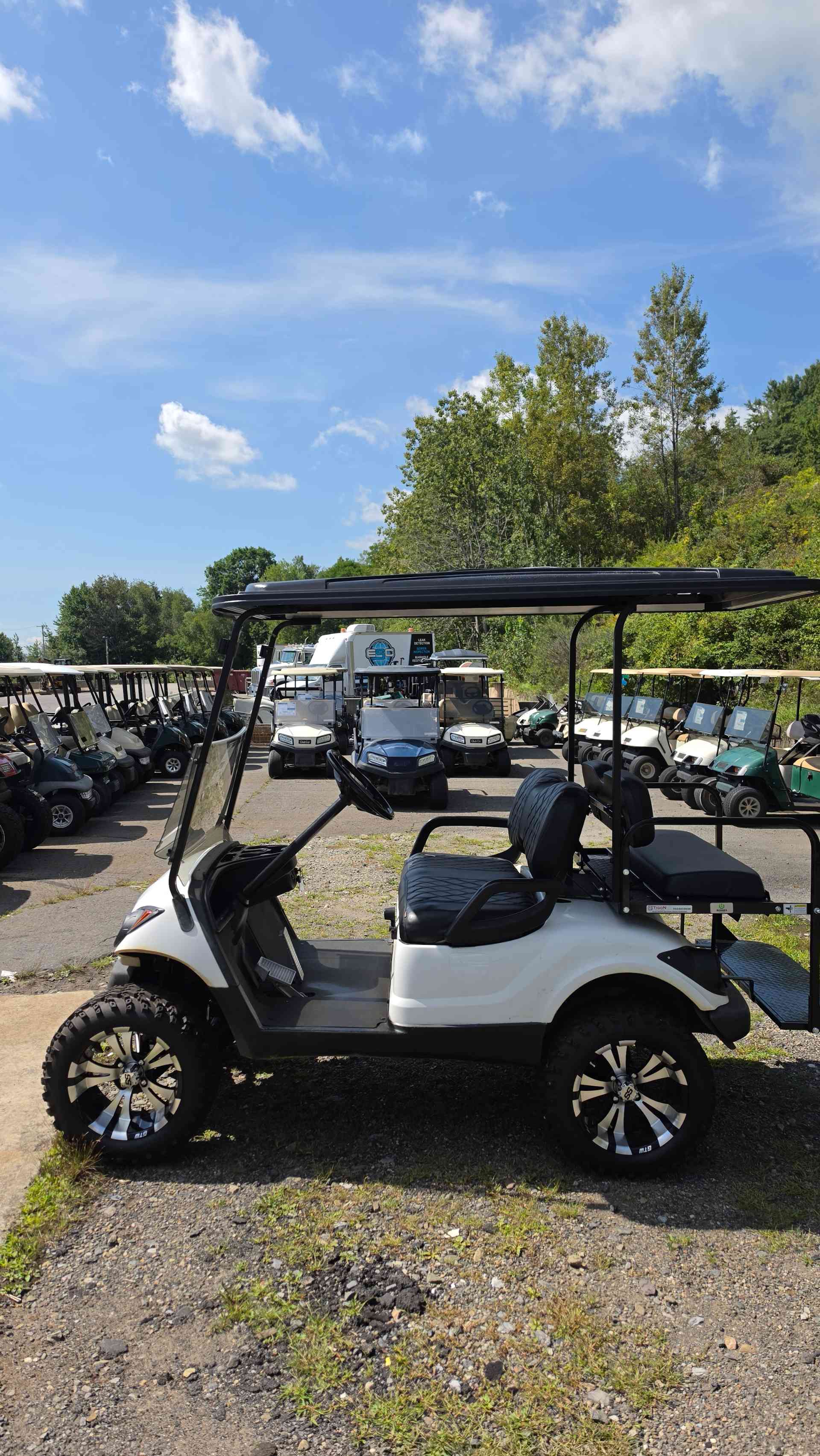 2013 Yamaha G29 White image 2