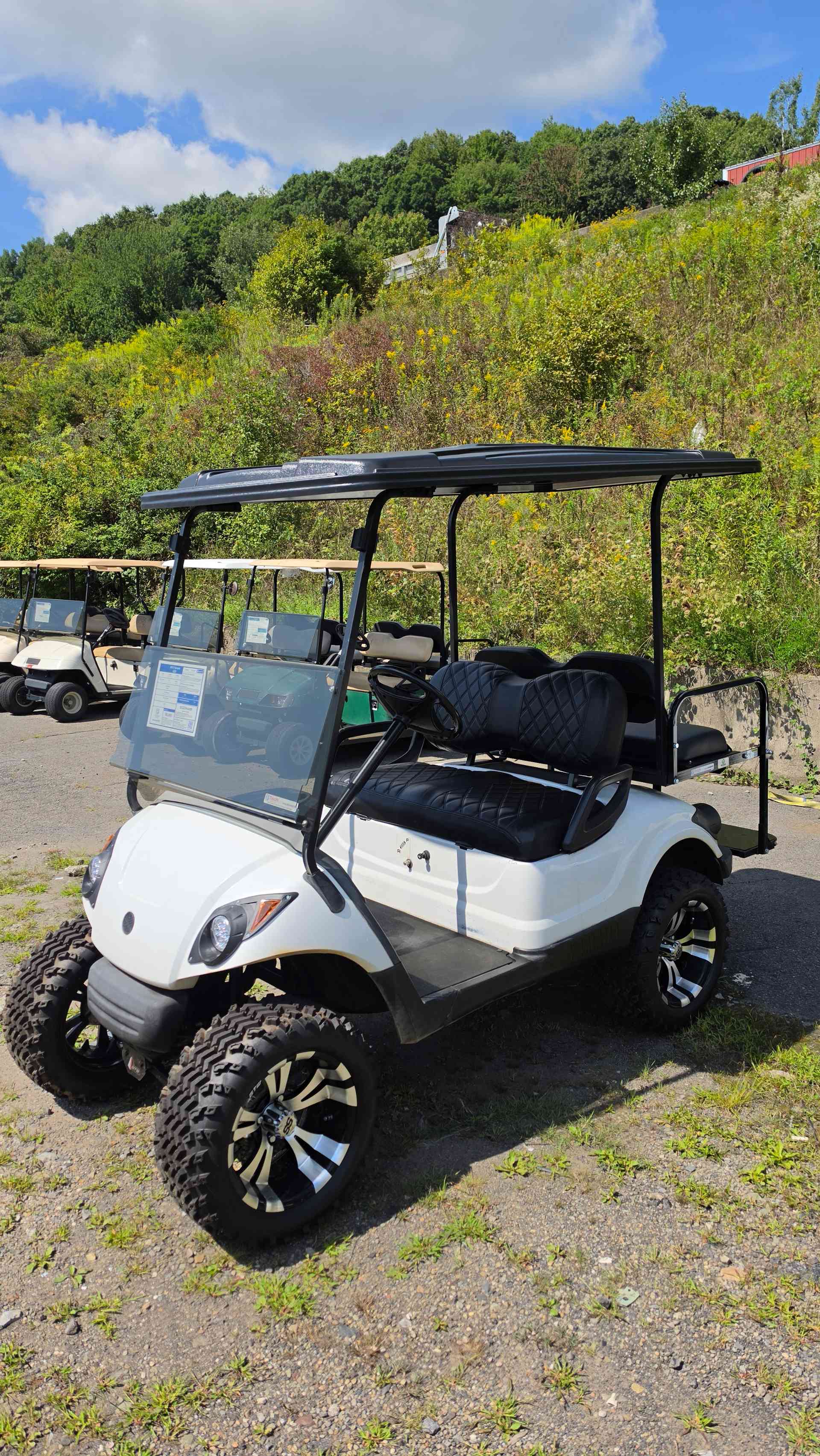 2013 Yamaha G29 White