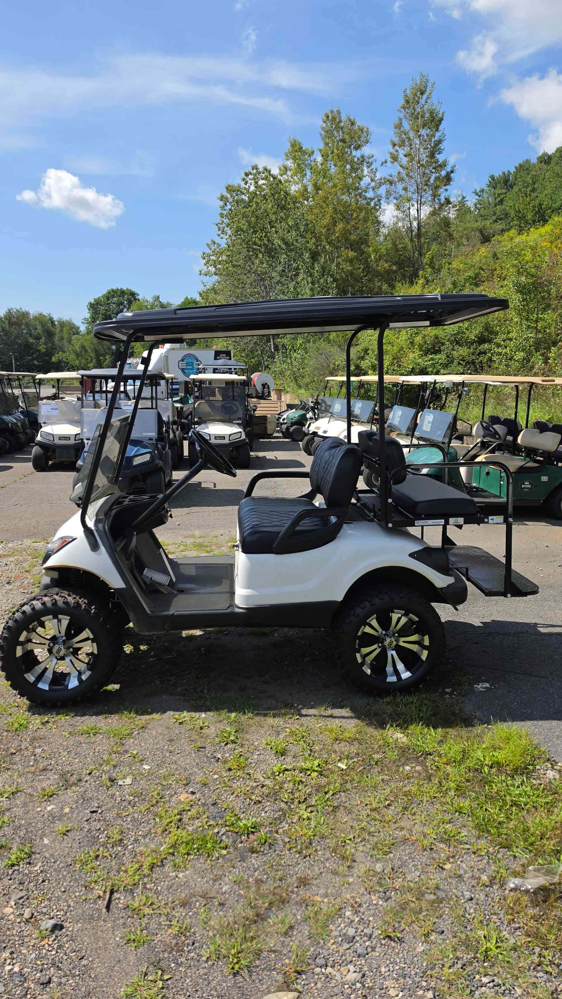 2013 Yamaha G29 White image 2