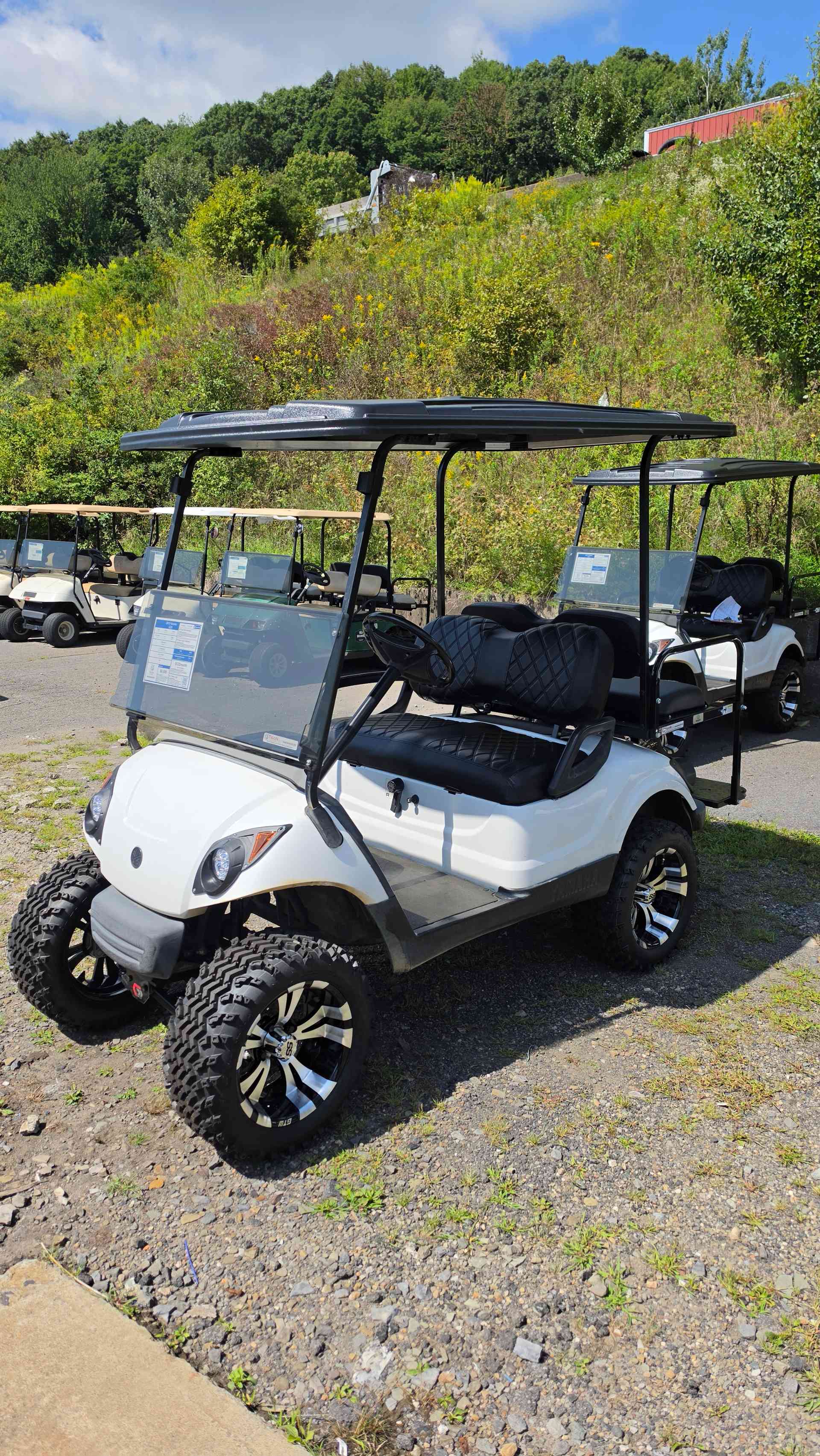 2013 Yamaha G29 White