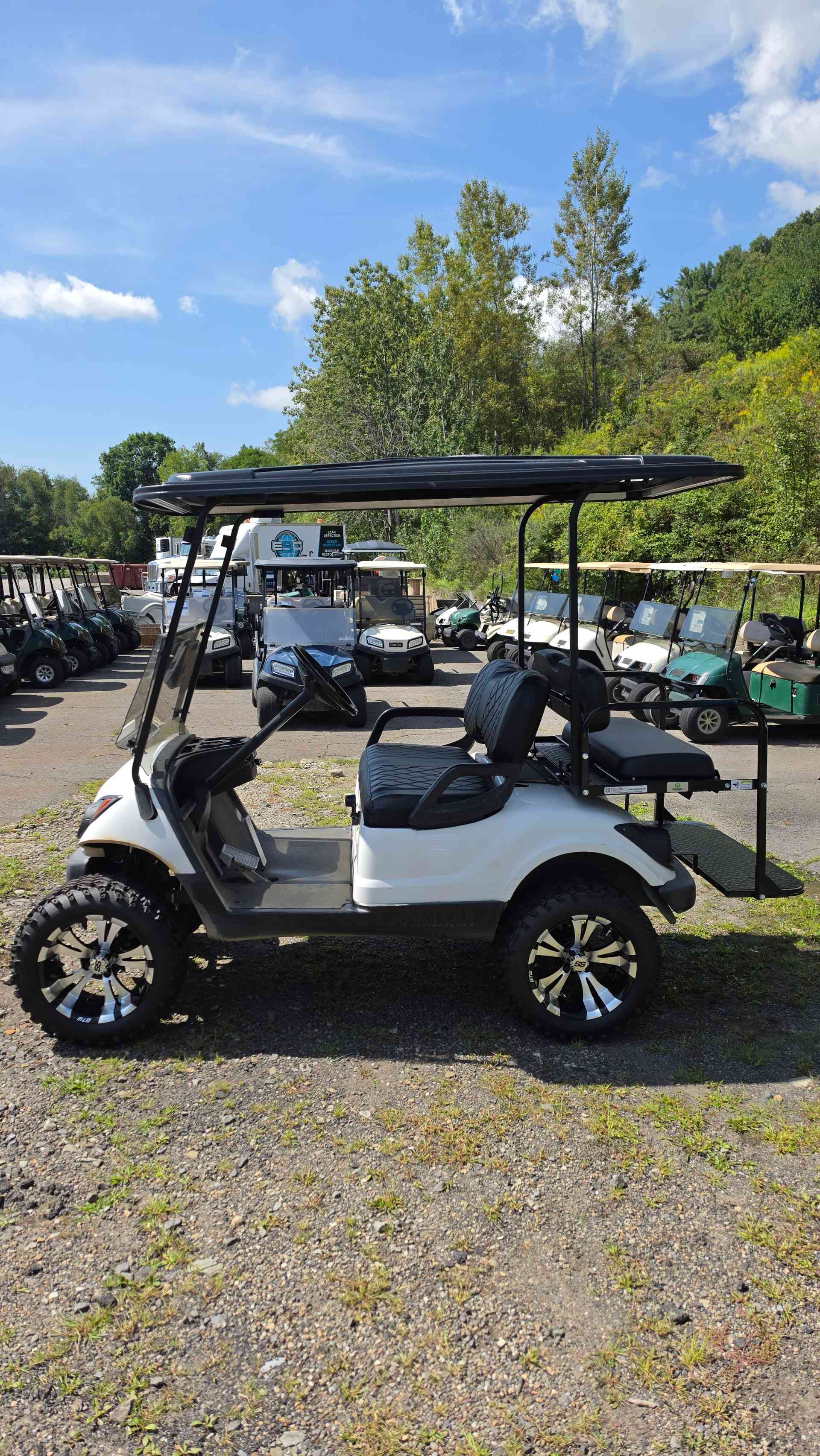 2013 Yamaha G29 White image 2