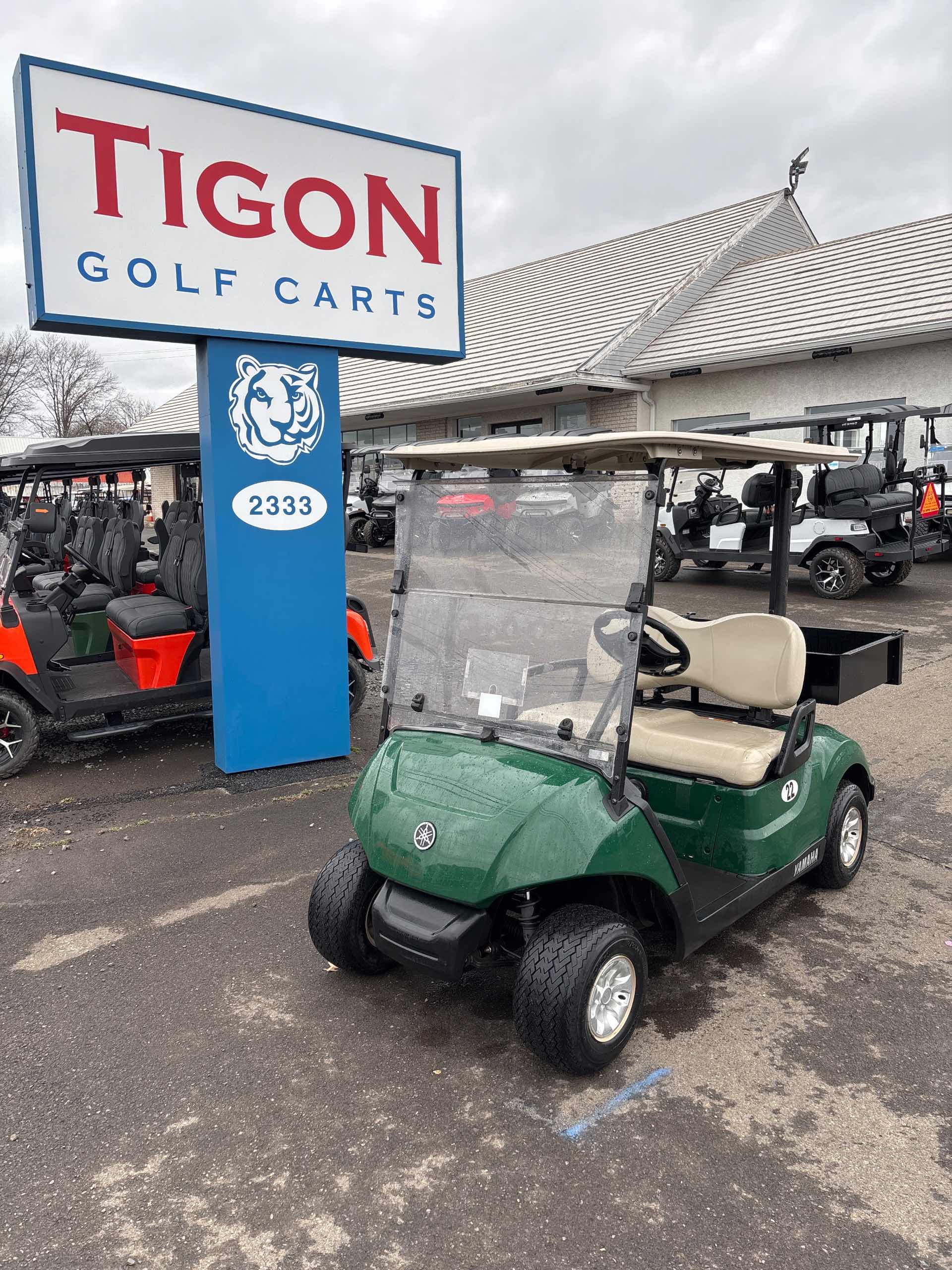 2017 Yamaha Drive 2 Golf Cart in Green