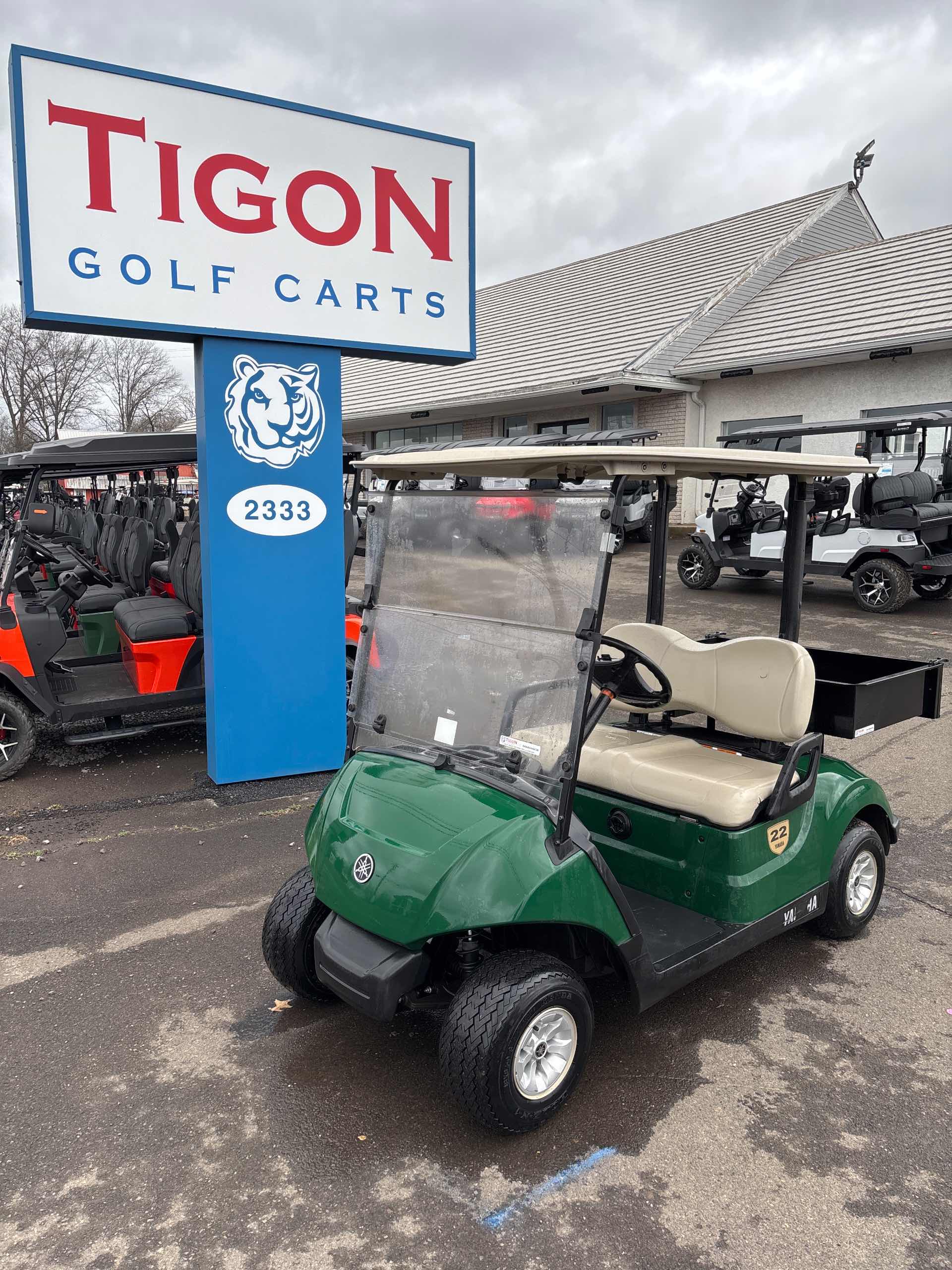 2017 Yamaha Drive 2 Golf Cart in Green