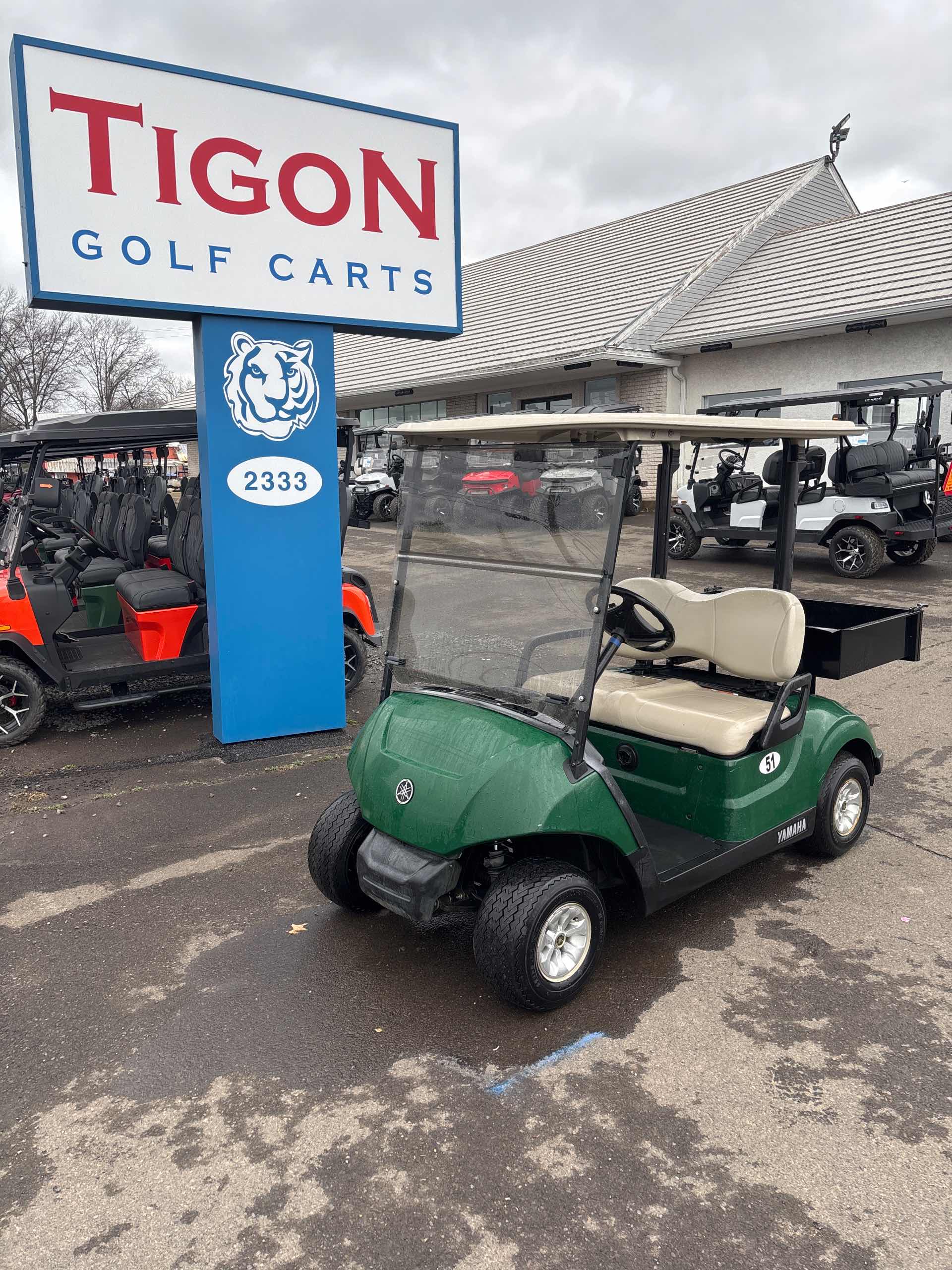 2017 Yamaha Drive 2 Golf Cart in Green