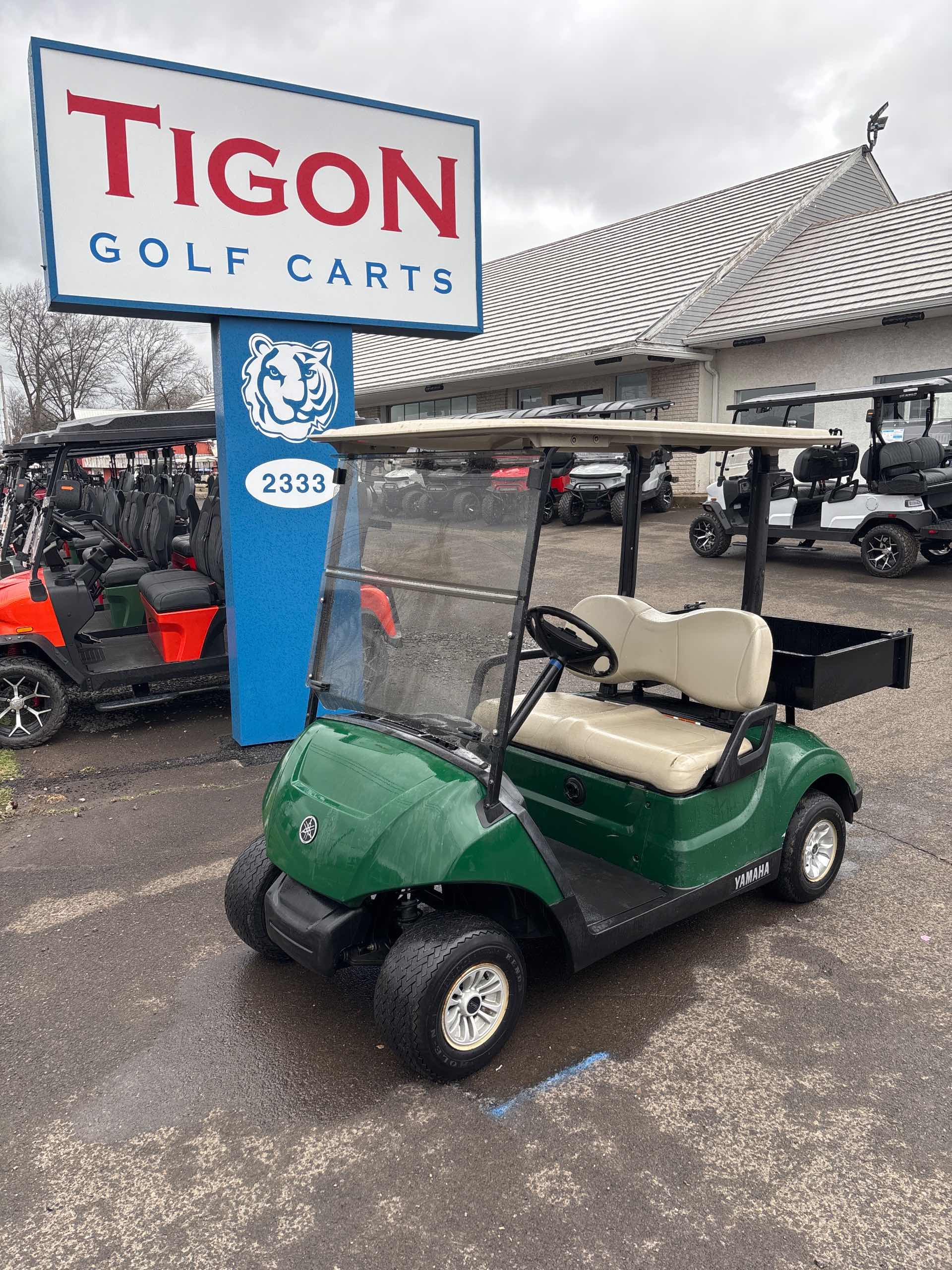 2017 Yamaha Drive 2 Golf Cart in Green