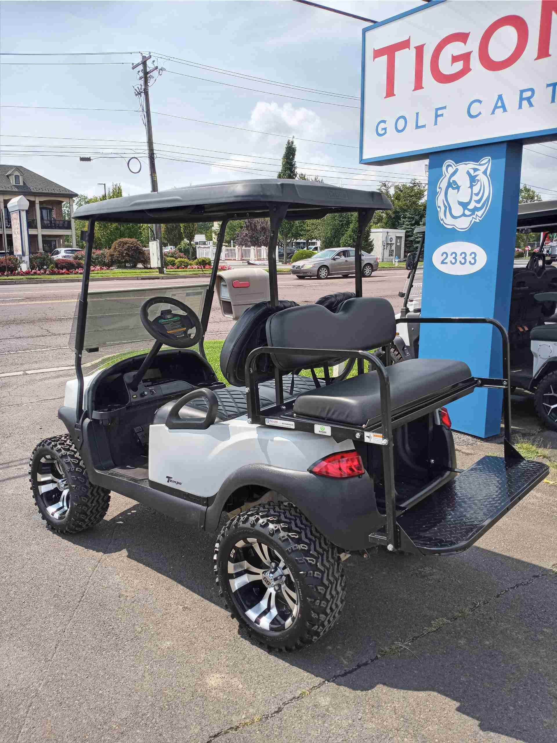 2020 Club Car Tempo Gray golf cart in Gray — photo 3 of 4, Lecanto, FL