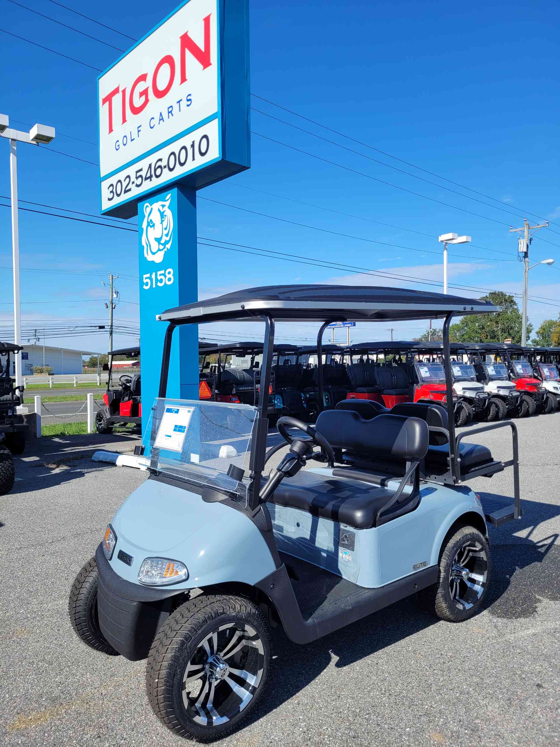 2021 EZGO RXV Golf Cart in Gray