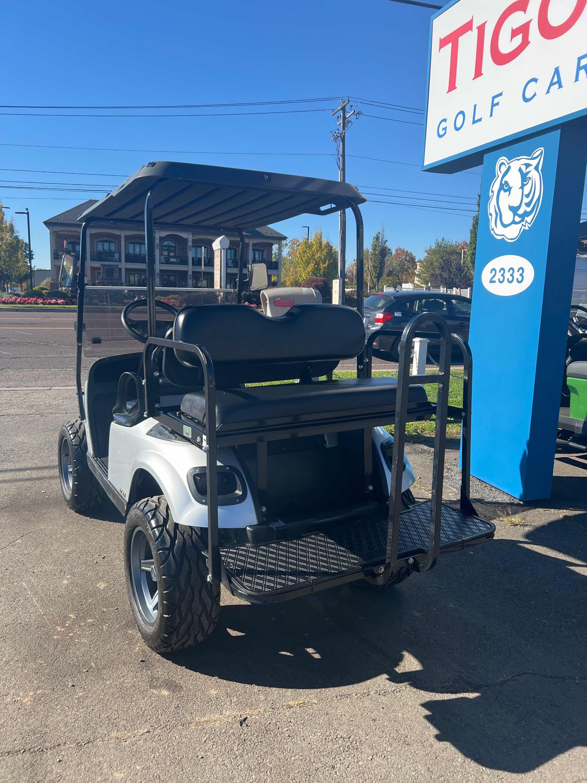 2019 EZGO TXT Silver image 3
