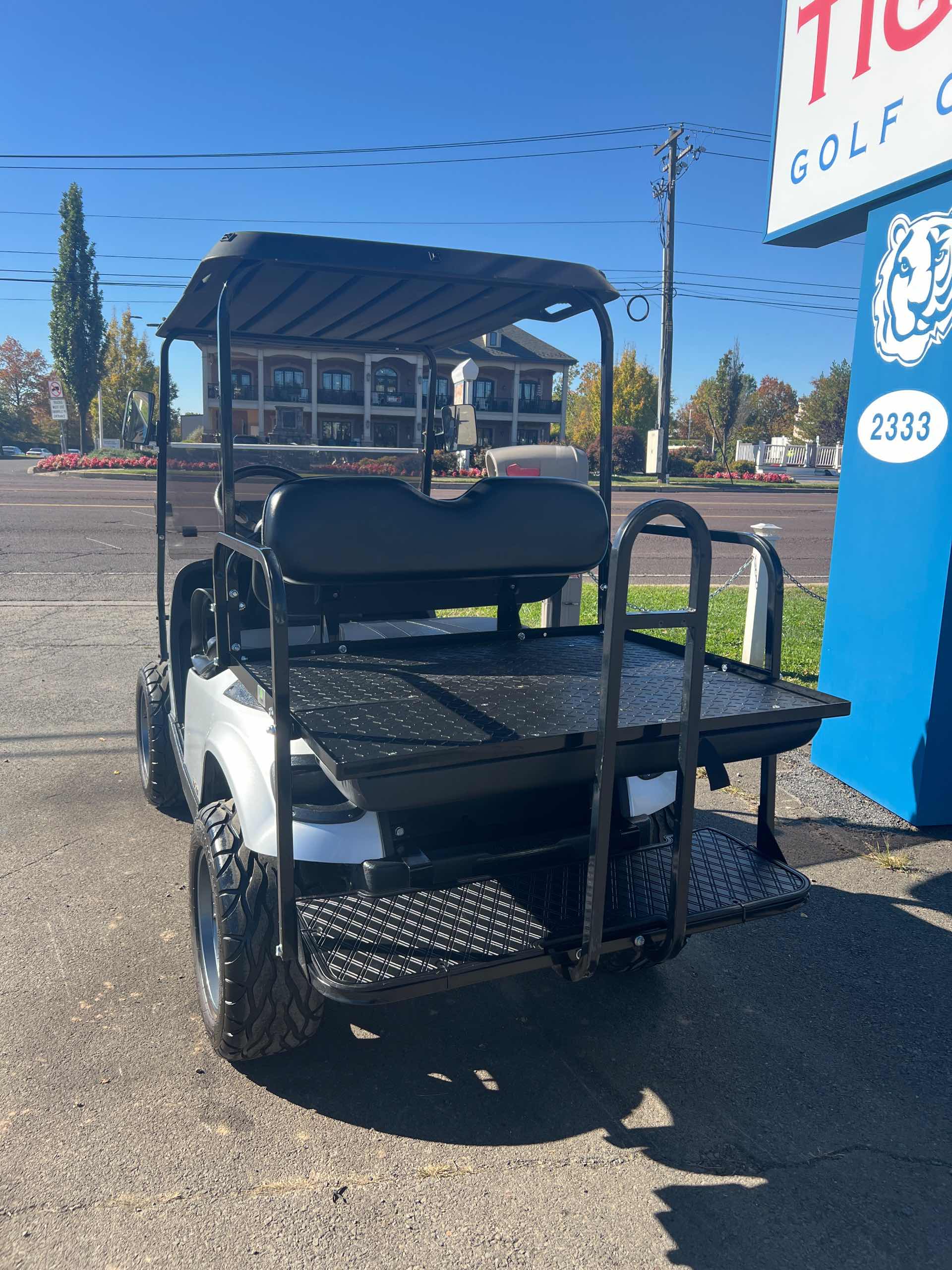 2019 EZGO TXT Silver image 4