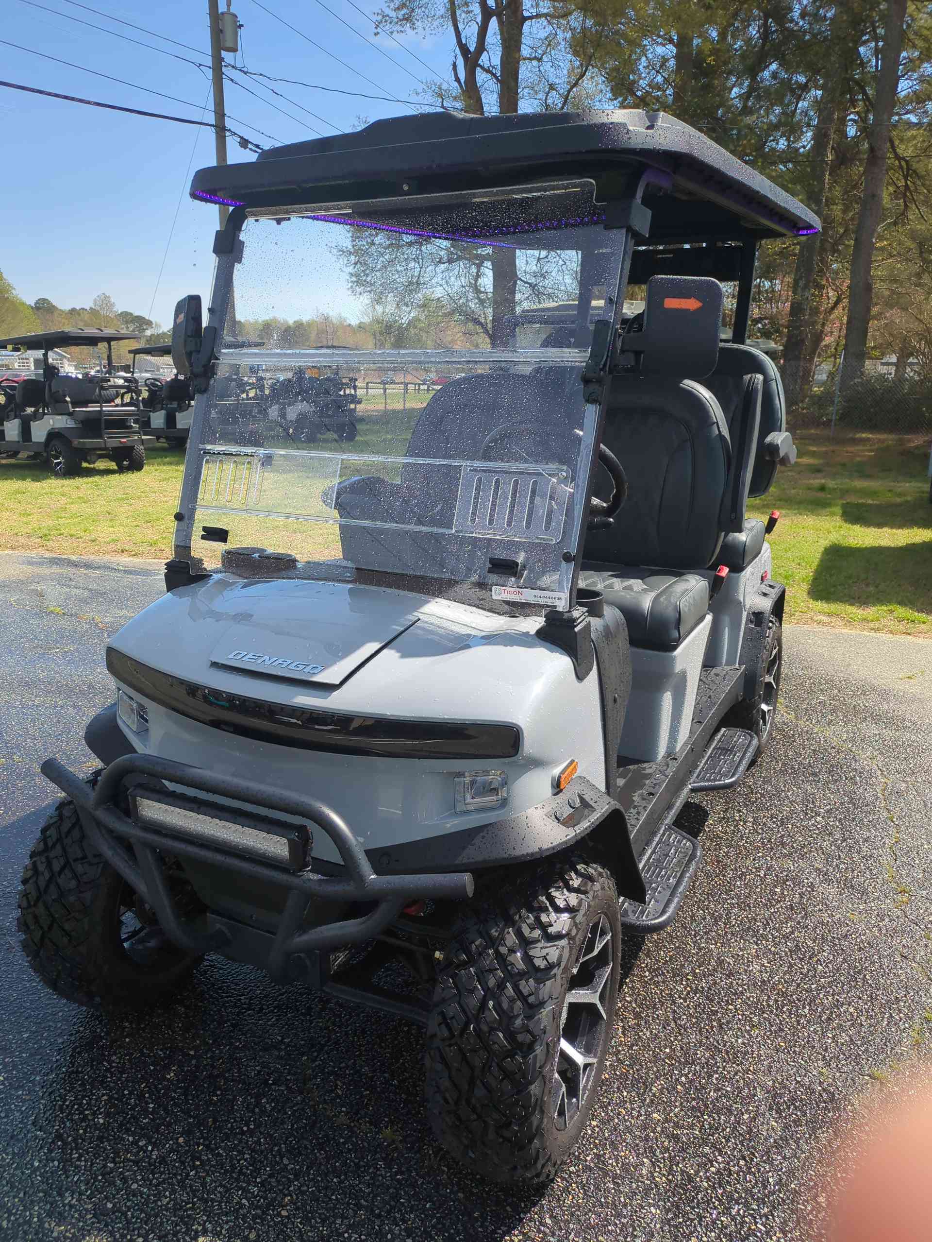 2026 Denago Rover XL Golf Cart in Gray
