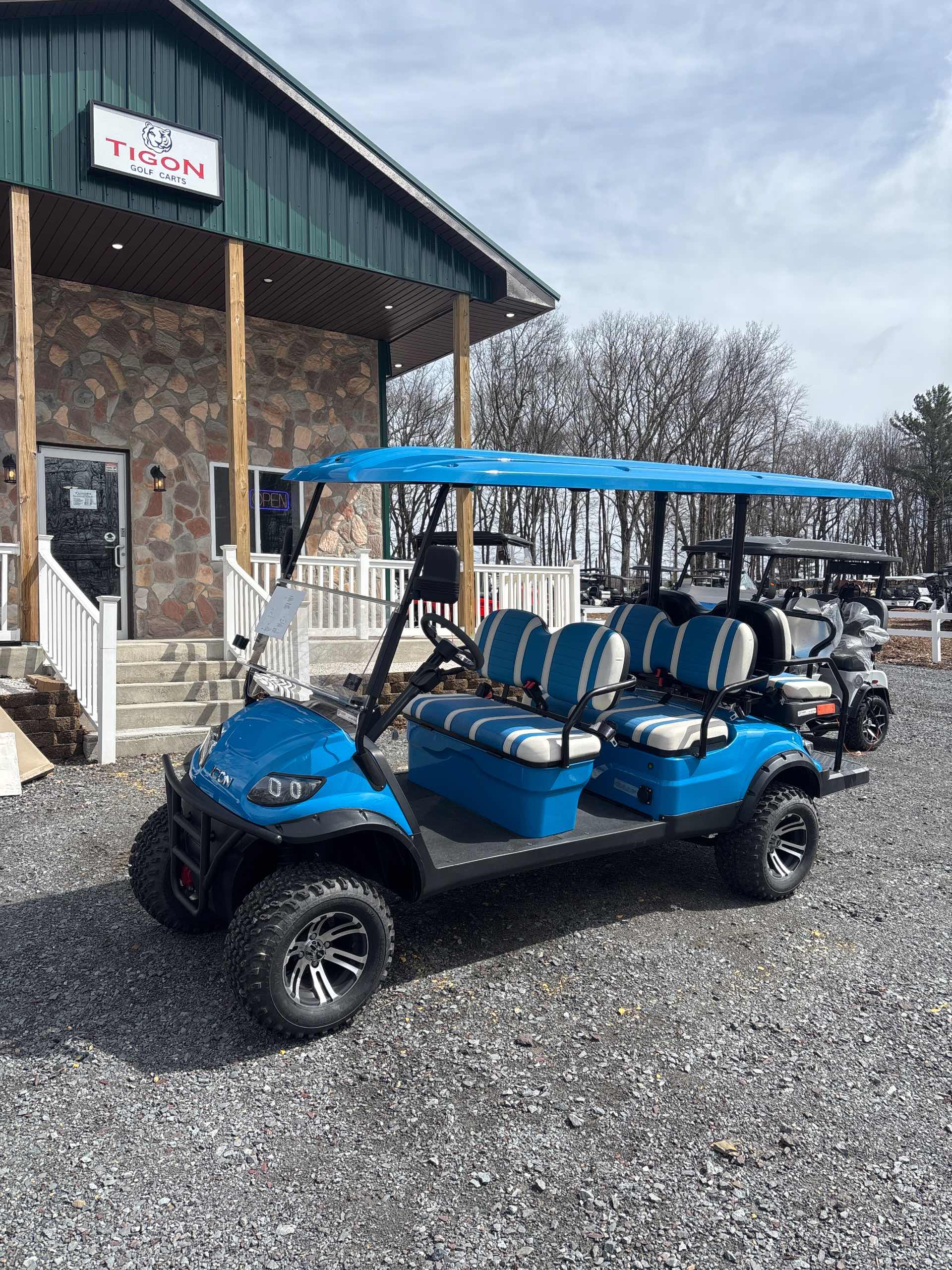 2024 Icon i60L Golf Cart in Caribbean