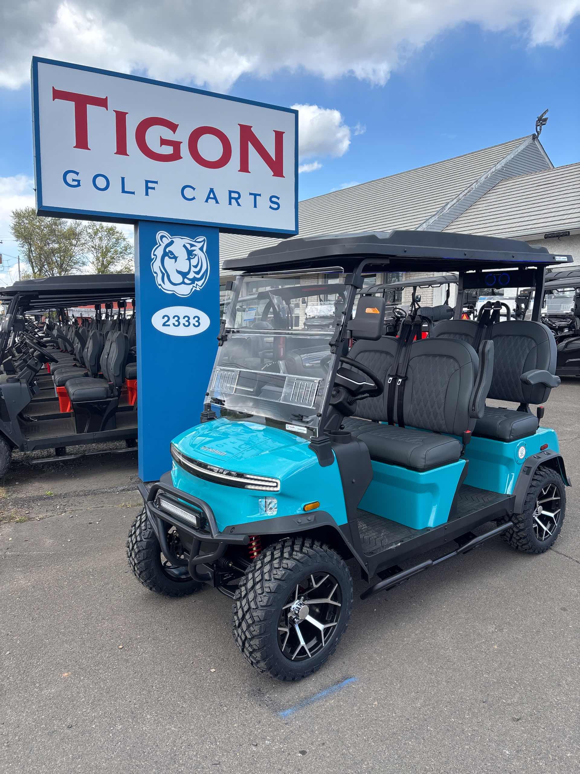 2025 Denago Rover XL Golf Cart in Aqua