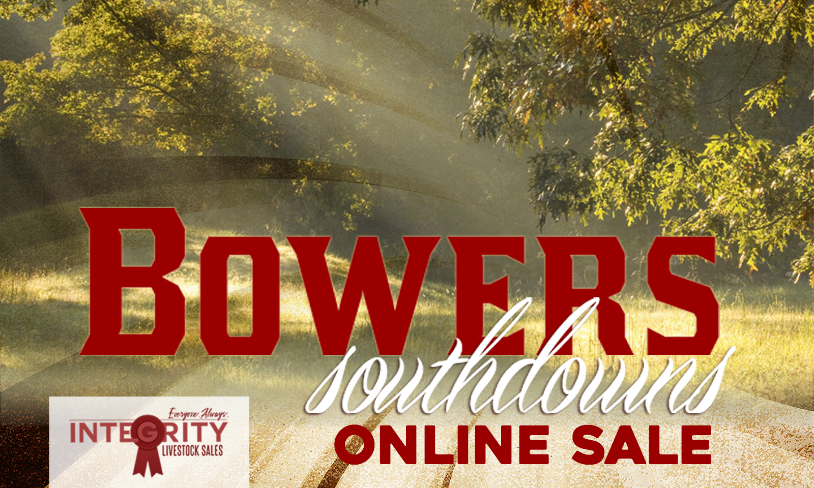 Bowers Southdowns Online Sale Integrity Livestock Sales, LLC