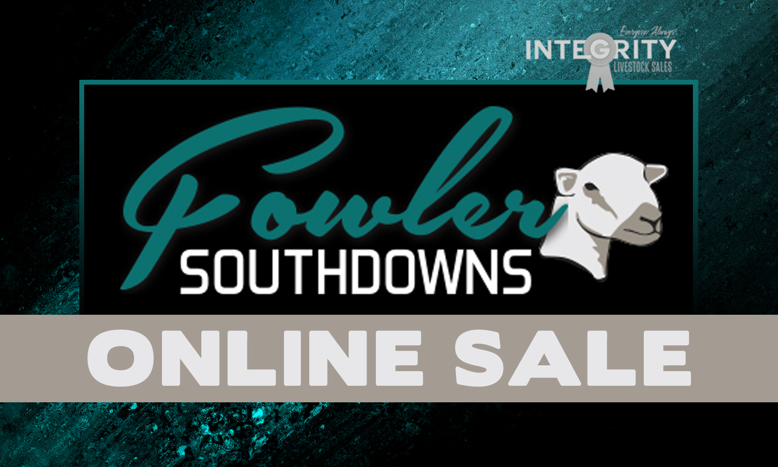 Fowler Southdowns Online Yearling Ewe Sale 4/1/2024 Integrity