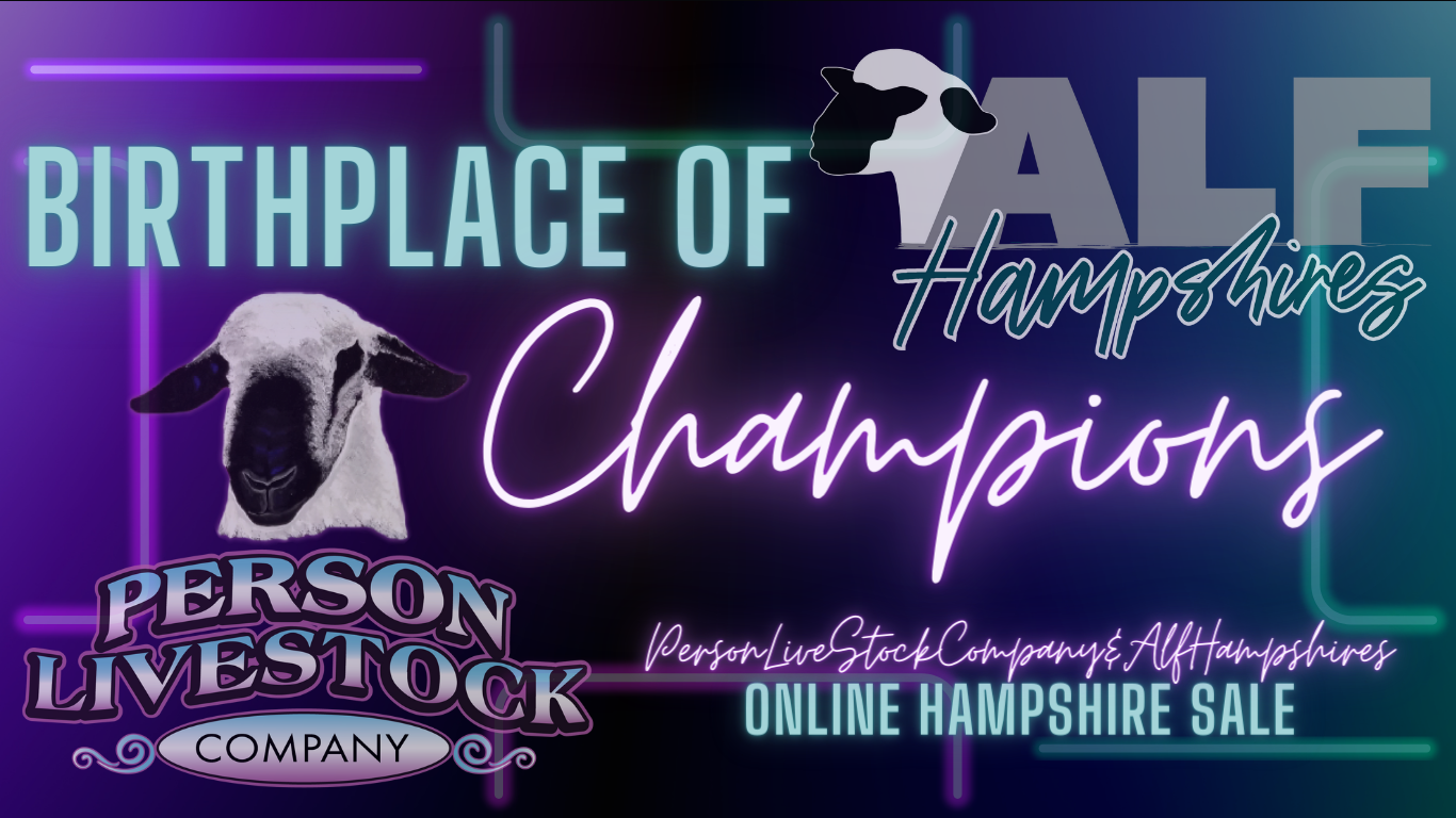 Alf Hampshires and Person Livestock Online Sale Integrity Livestock