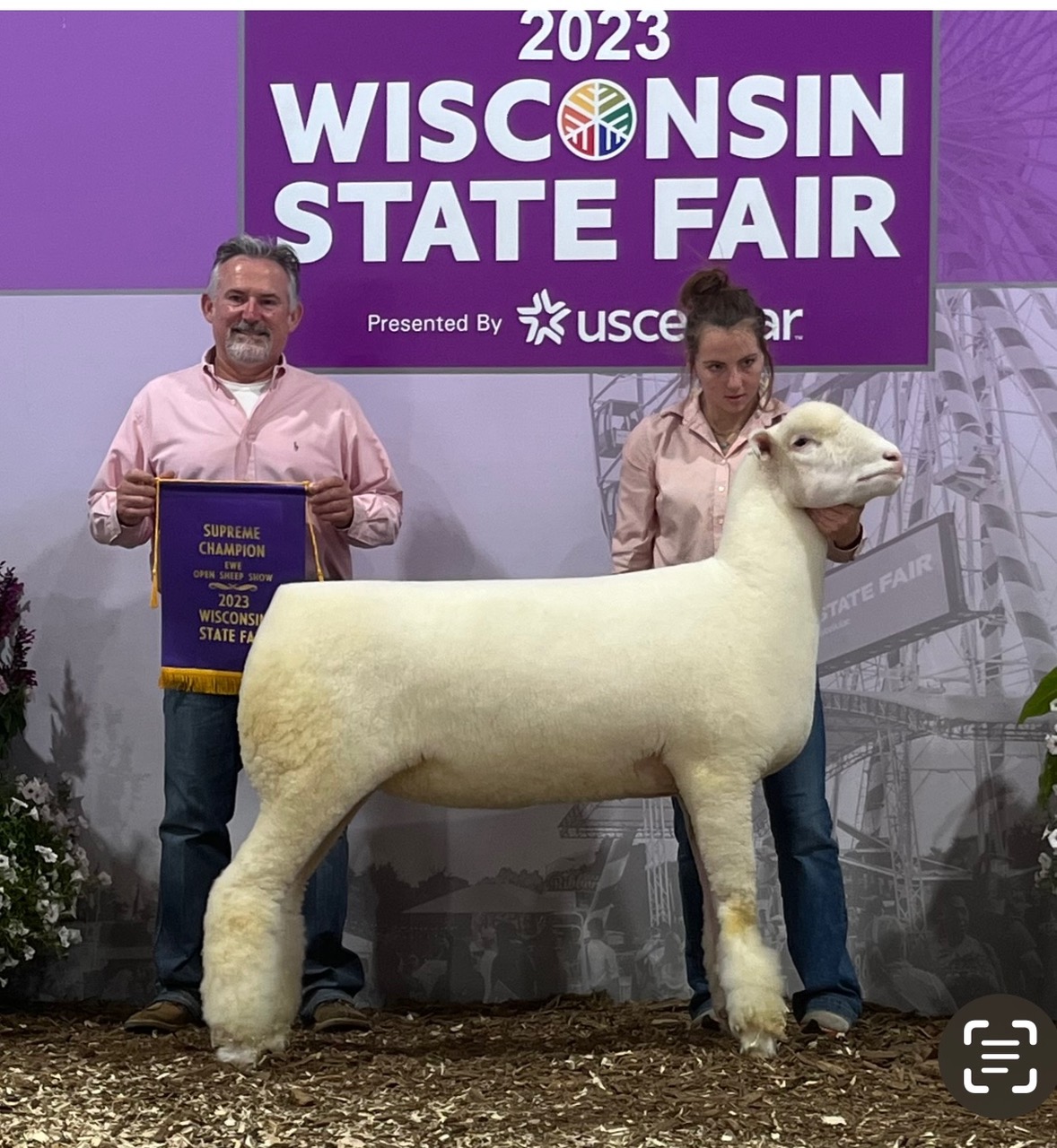 Spilde Dorsets Online Production Sale 4/5/2026- Integrity Livestock ...