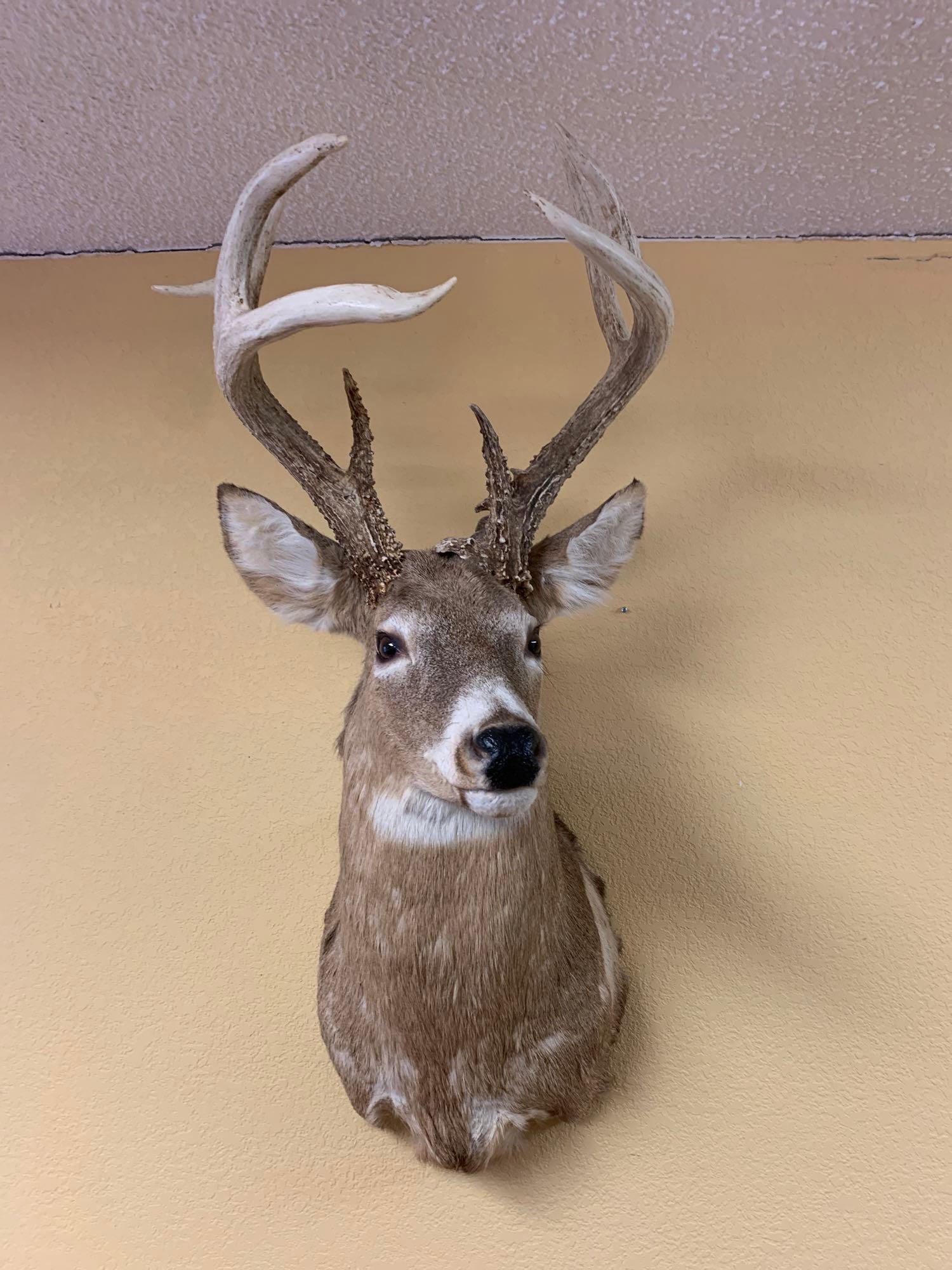 Col. Chuck Korte Remnants Augusta Kansas Little Bull Auction & Sales
