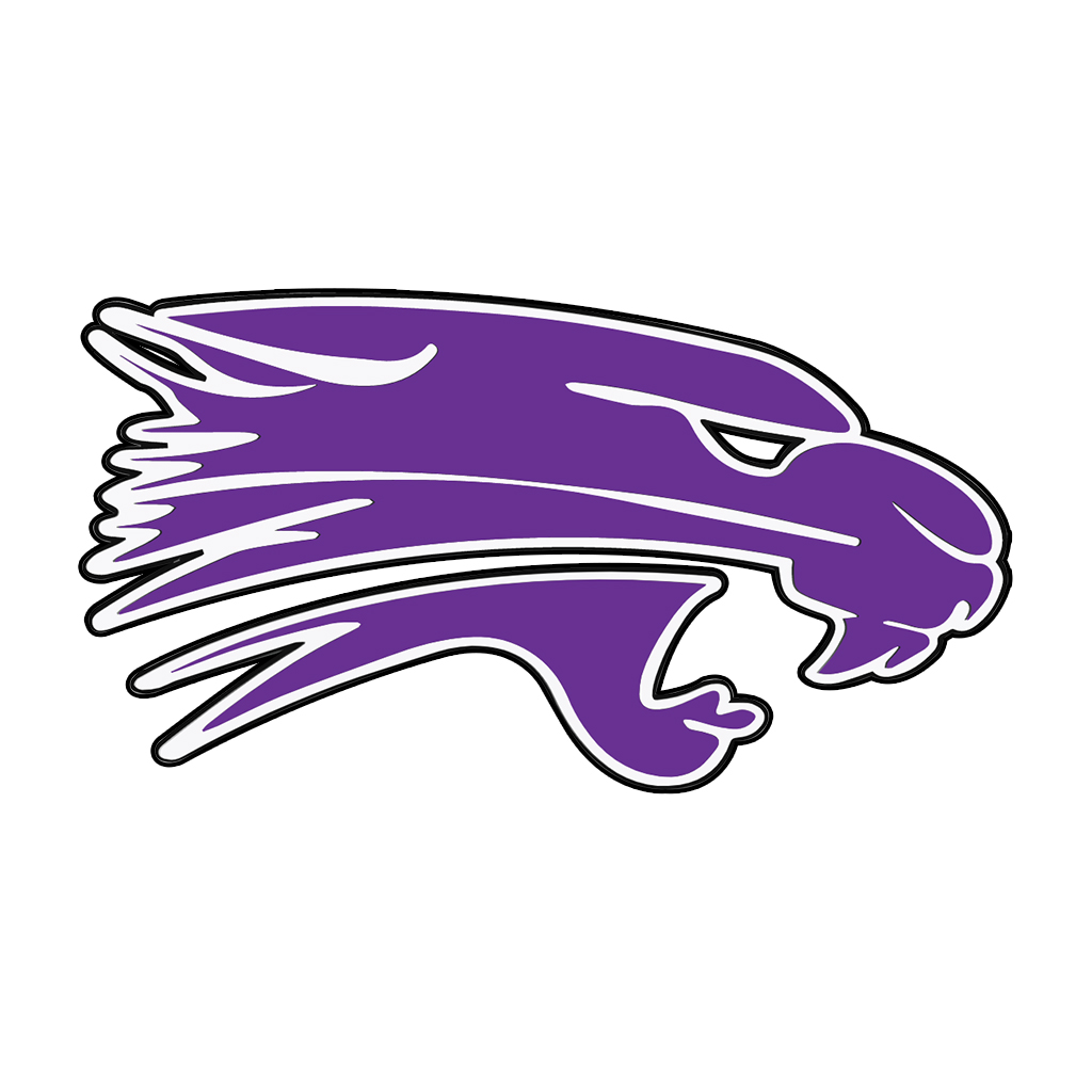 22907 PalmyraEagle Area School District Palmyra and Eagle