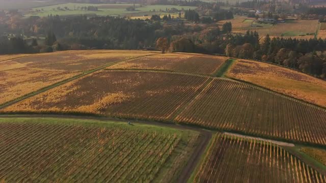 Aerial shot of Oregon's Willamette Valley Wine Country.  Shot with Cineflex and RED Epic-W Helium. 