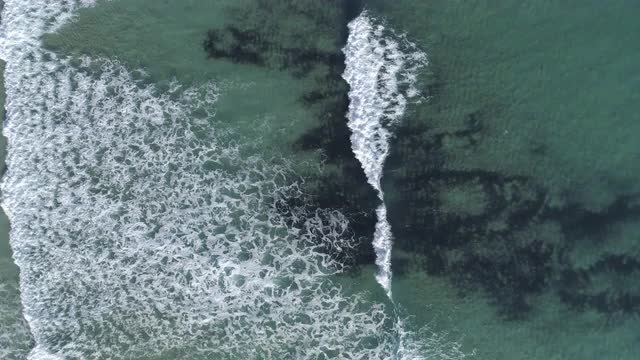  Crystal clear water waves algae