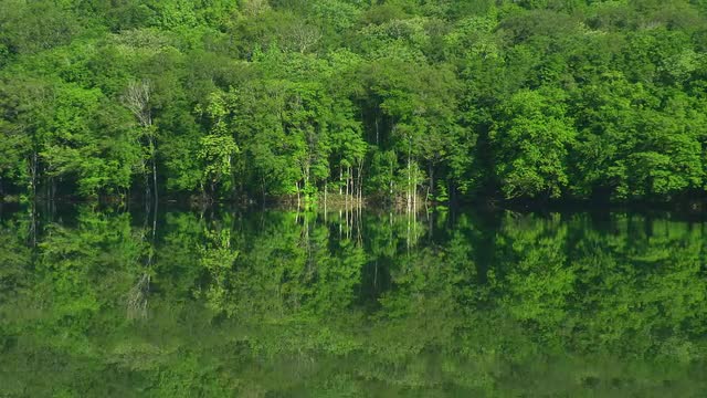 Fresh green, Aomori Prefecture, Japan