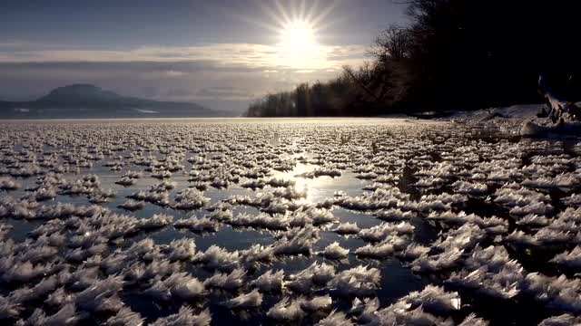 Frost at Lake Kussharo, Hokkaido, Japan