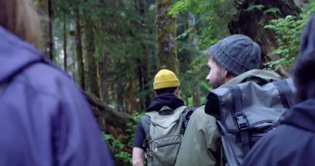 Medium shot of friends walking through the forest