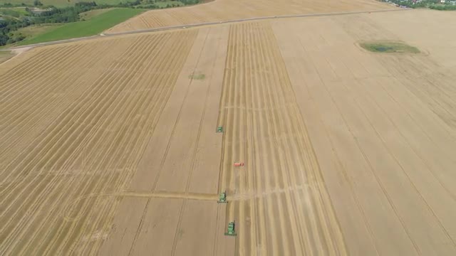 Combine harvester on wheat field