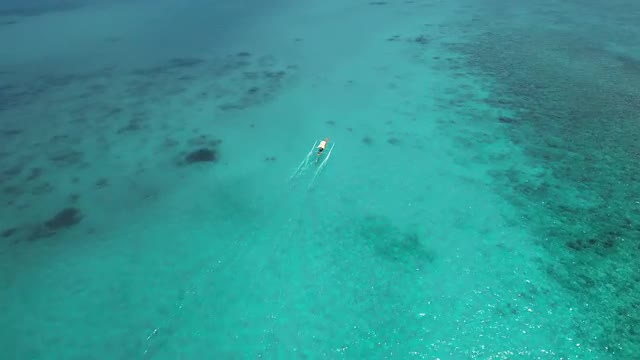 Motorboat on the sea